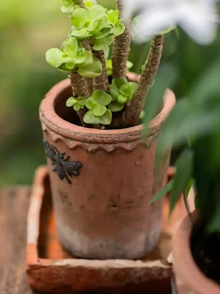 Vintage Bee Terracotta Planter