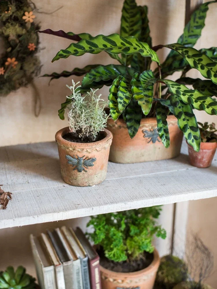 Vintage Bee Terracotta Planter