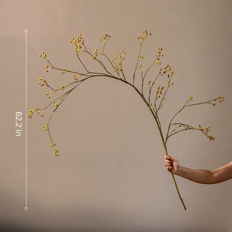 Wild Rosehip Berry Branch