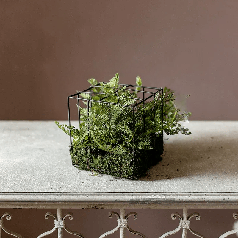 Woodland Cube Garden Accent