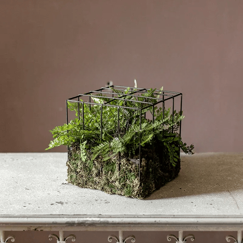 Woodland Cube Garden Accent