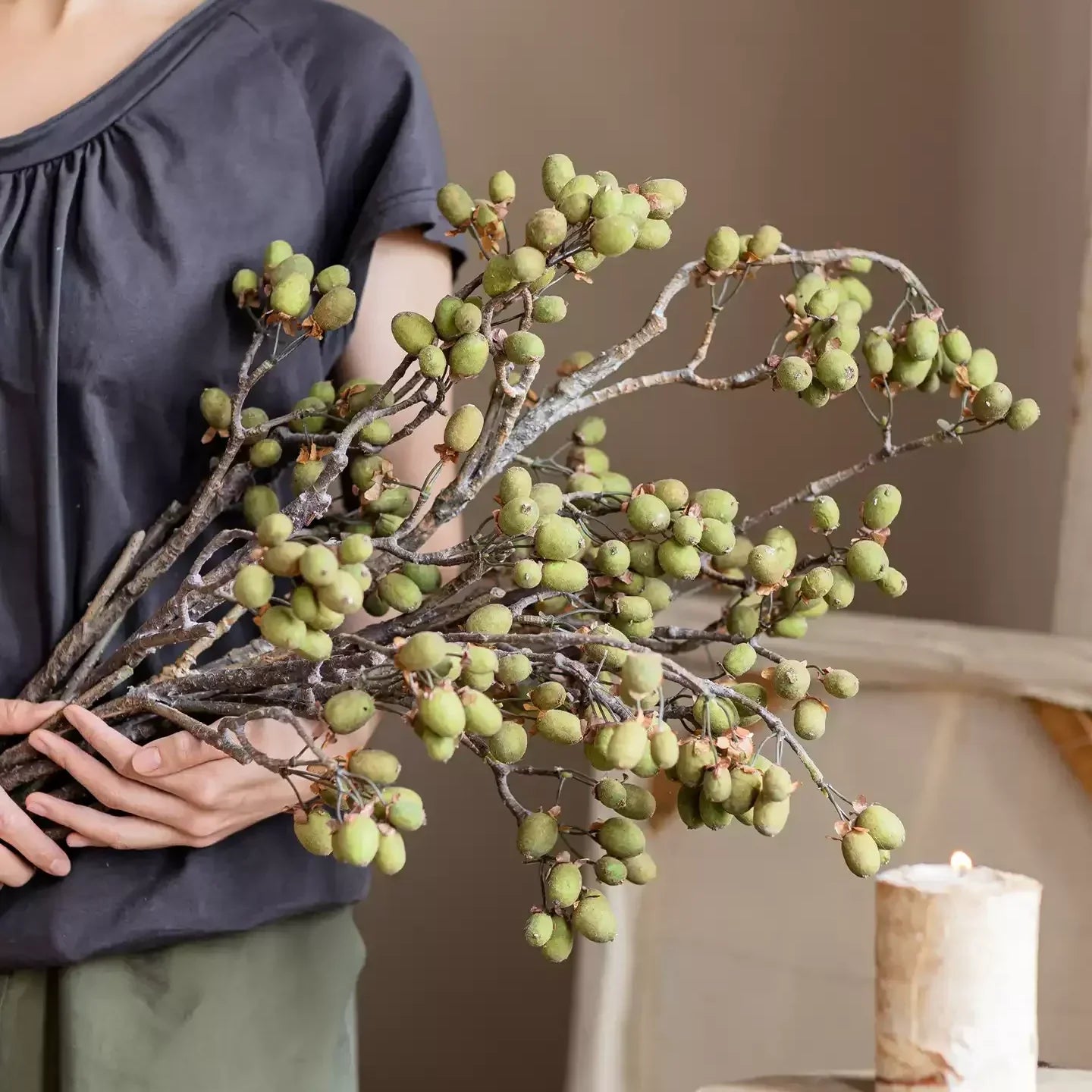 Wild Kiwi Fruit Branch