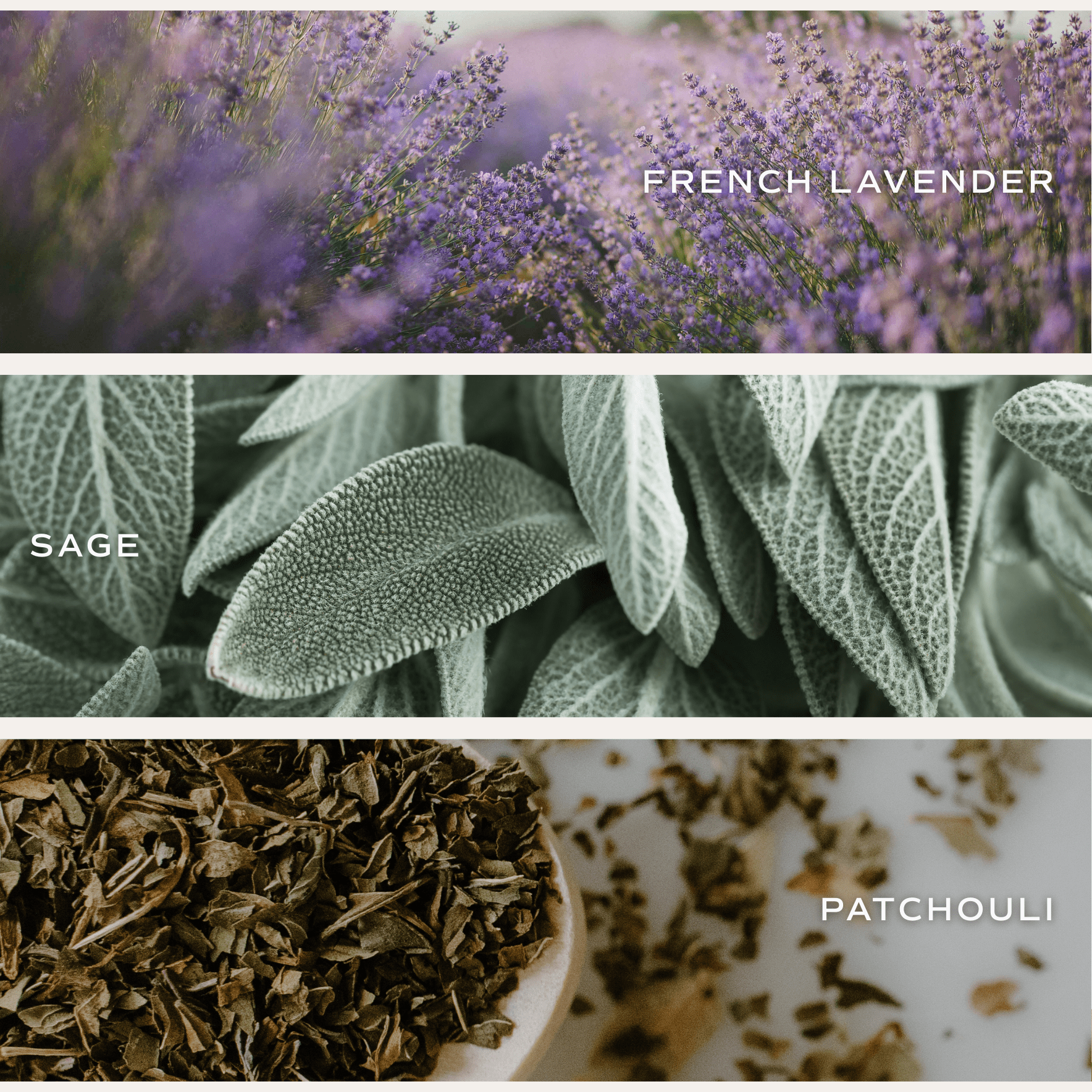 Lavender and Sage Soy Candle - White Jar - 11 oz