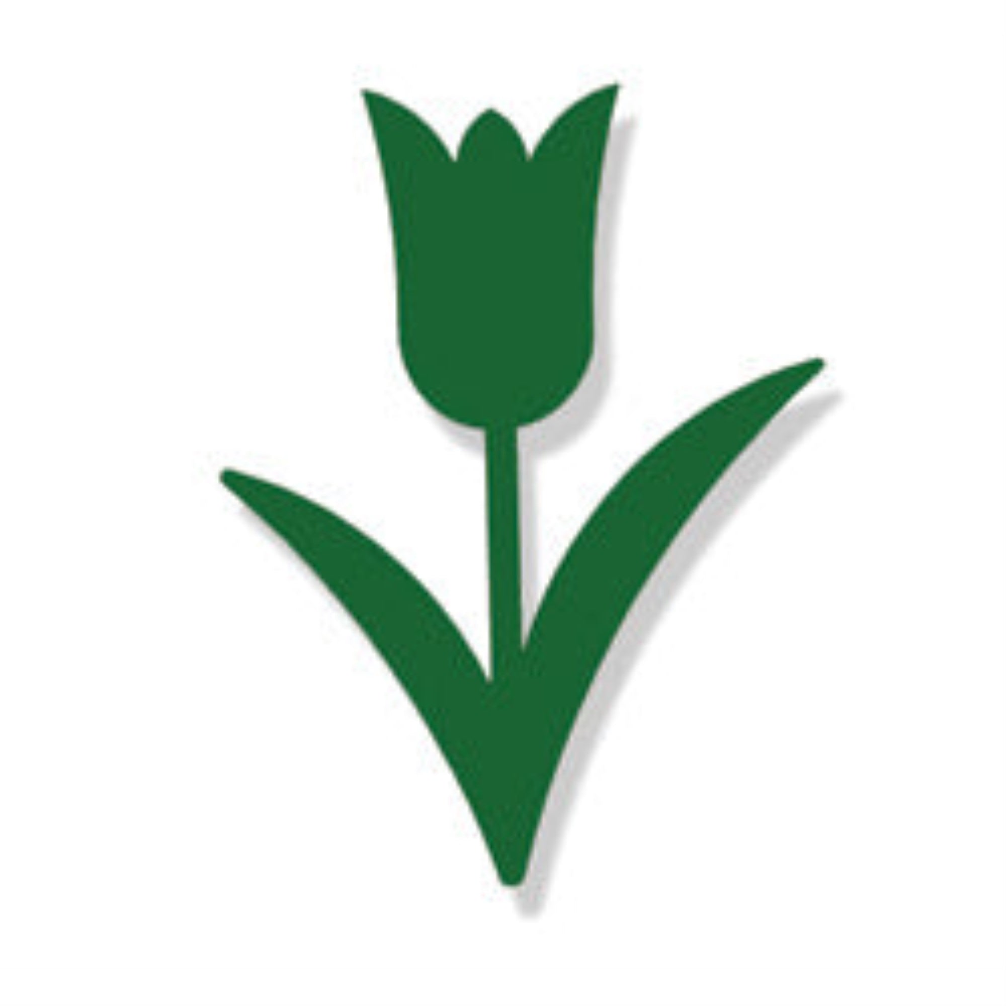Tulip Magnet Green Final Sale - Non-Returnable