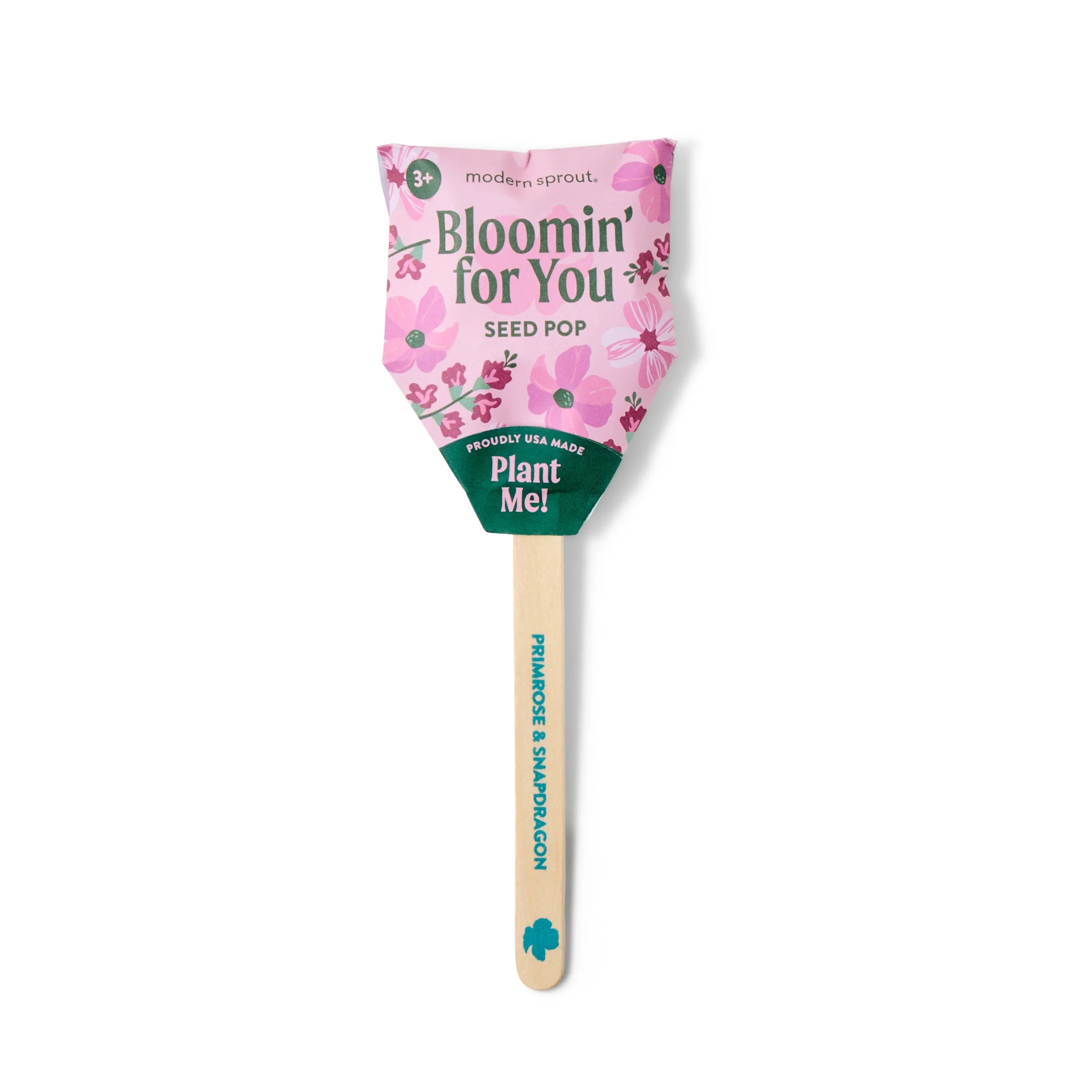 Plantable Wildflower Seed Pop Gift | Modern Sprout