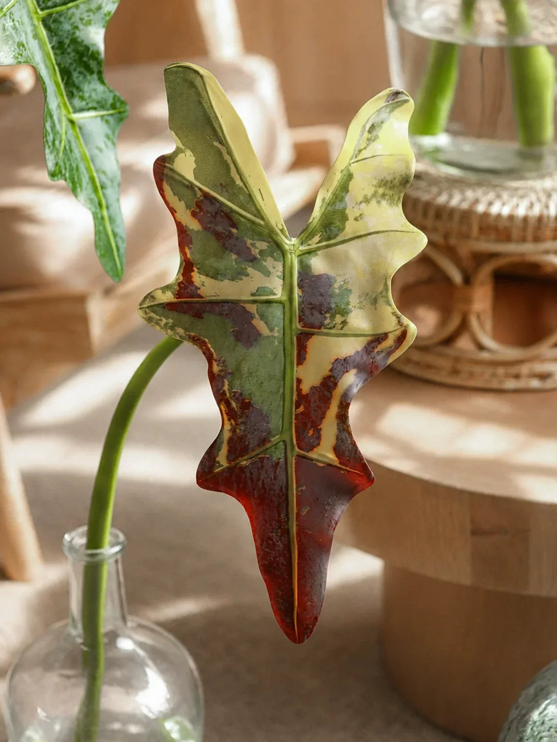 Statement Alocasia Leaf – 34.3"
