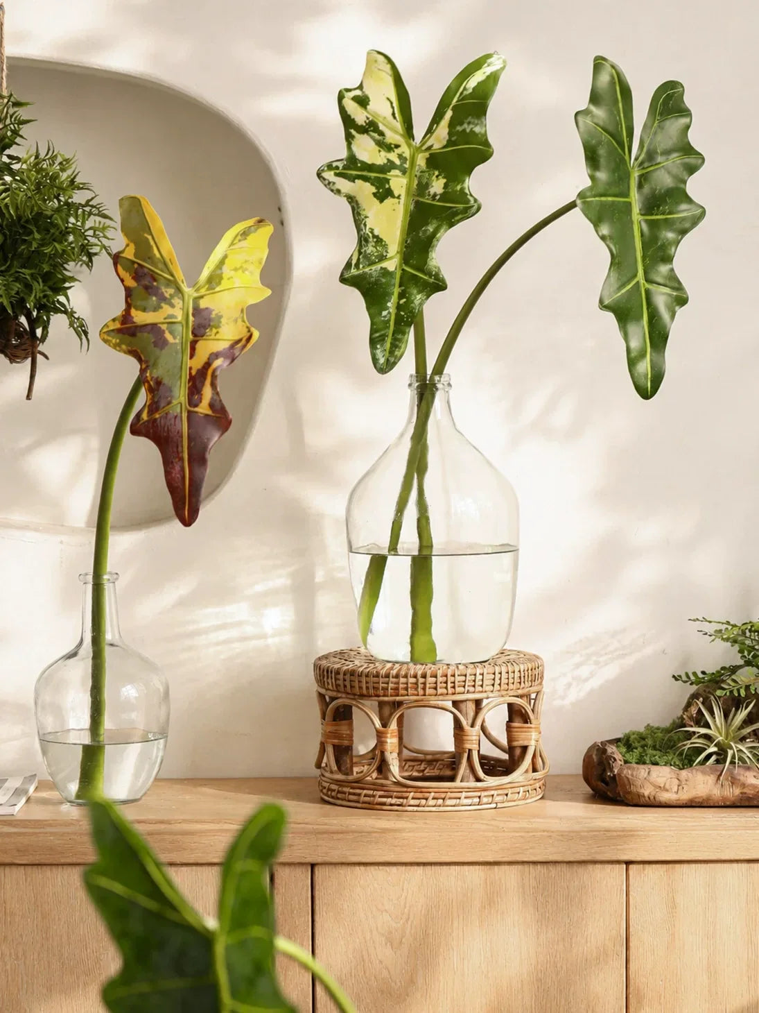 Statement Alocasia Leaf – 34.3"