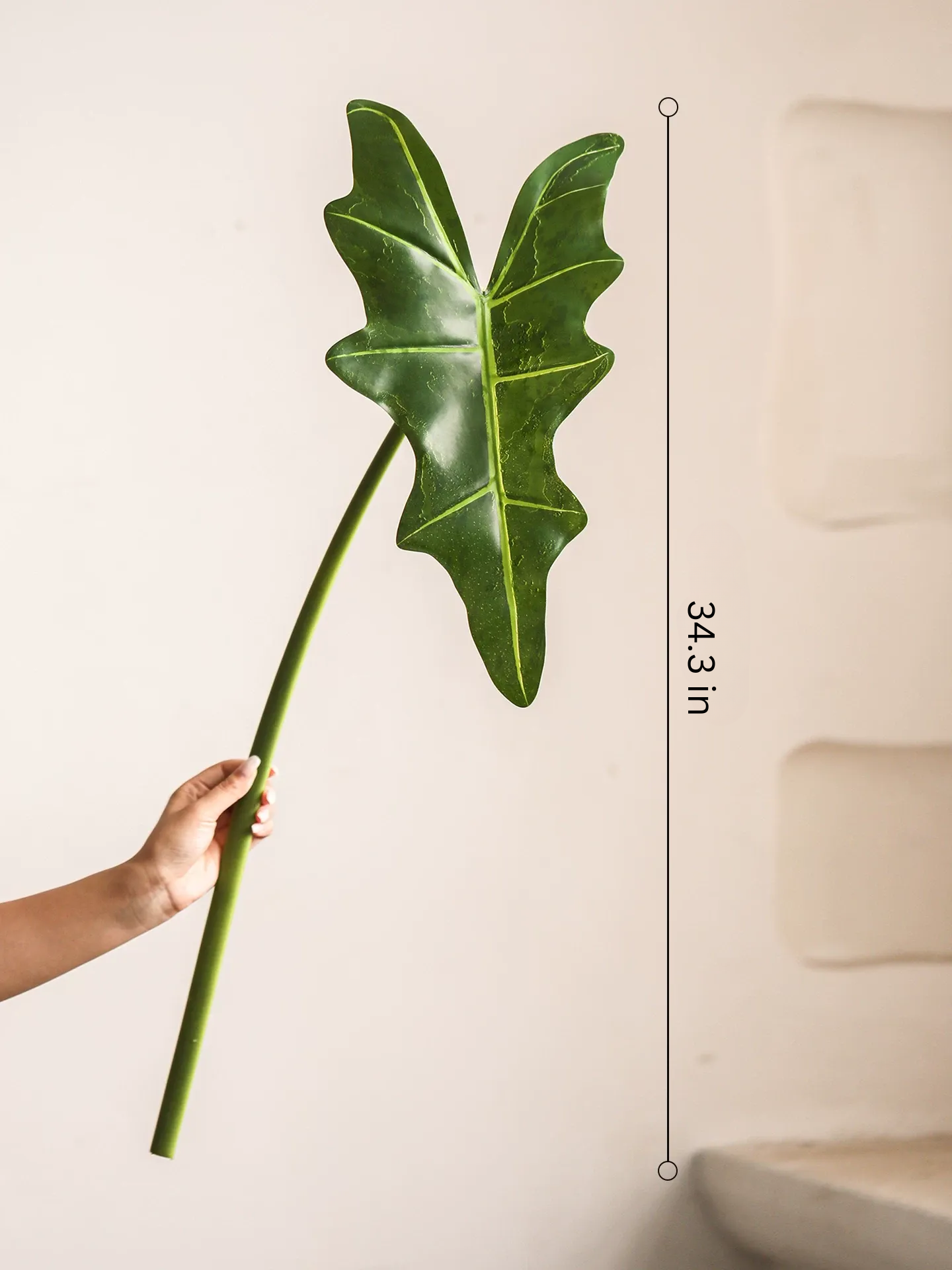 Statement Alocasia Leaf – 34.3"