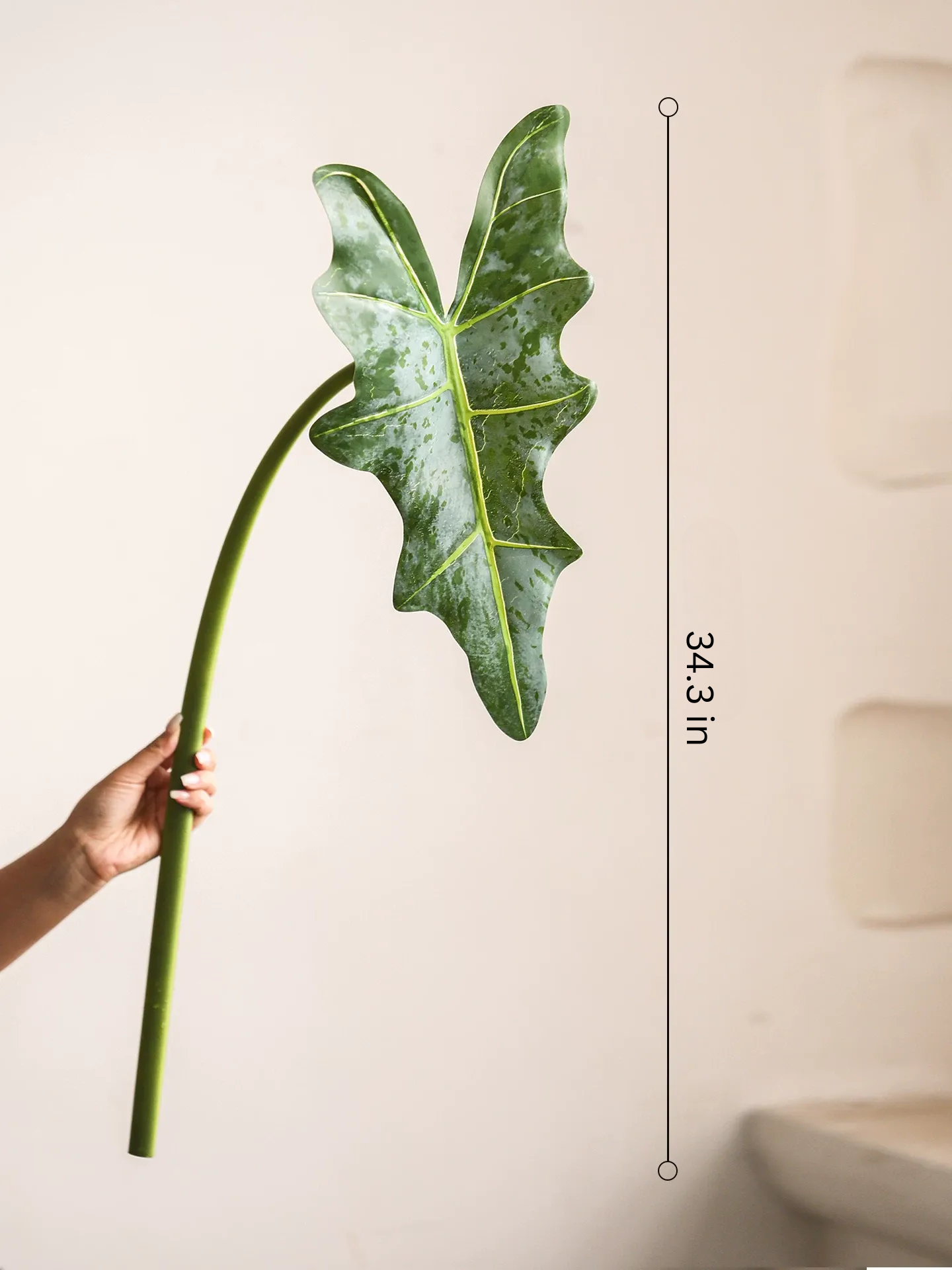 Statement Alocasia Leaf – 34.3"