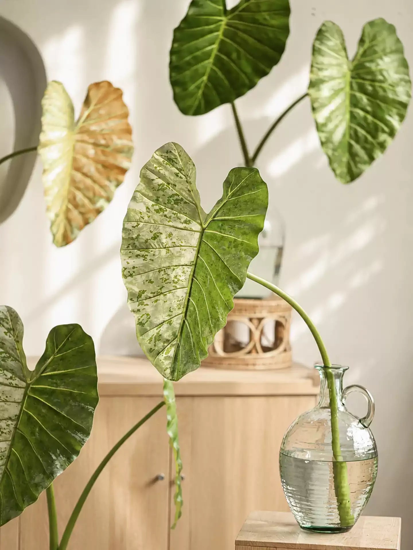 Statement Elephant Ear Leaf – 34.3"