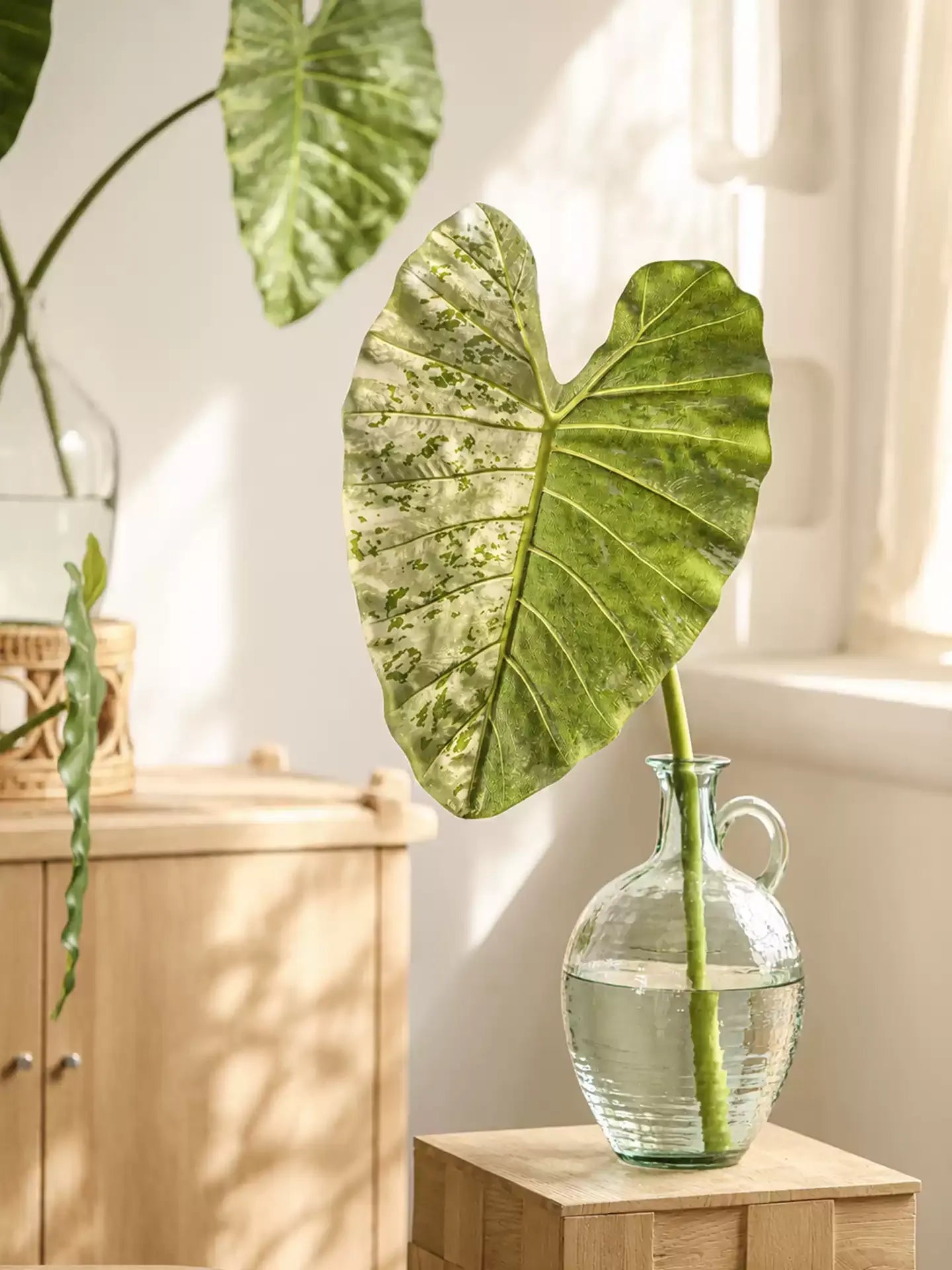 Statement Elephant Ear Leaf – 34.3"