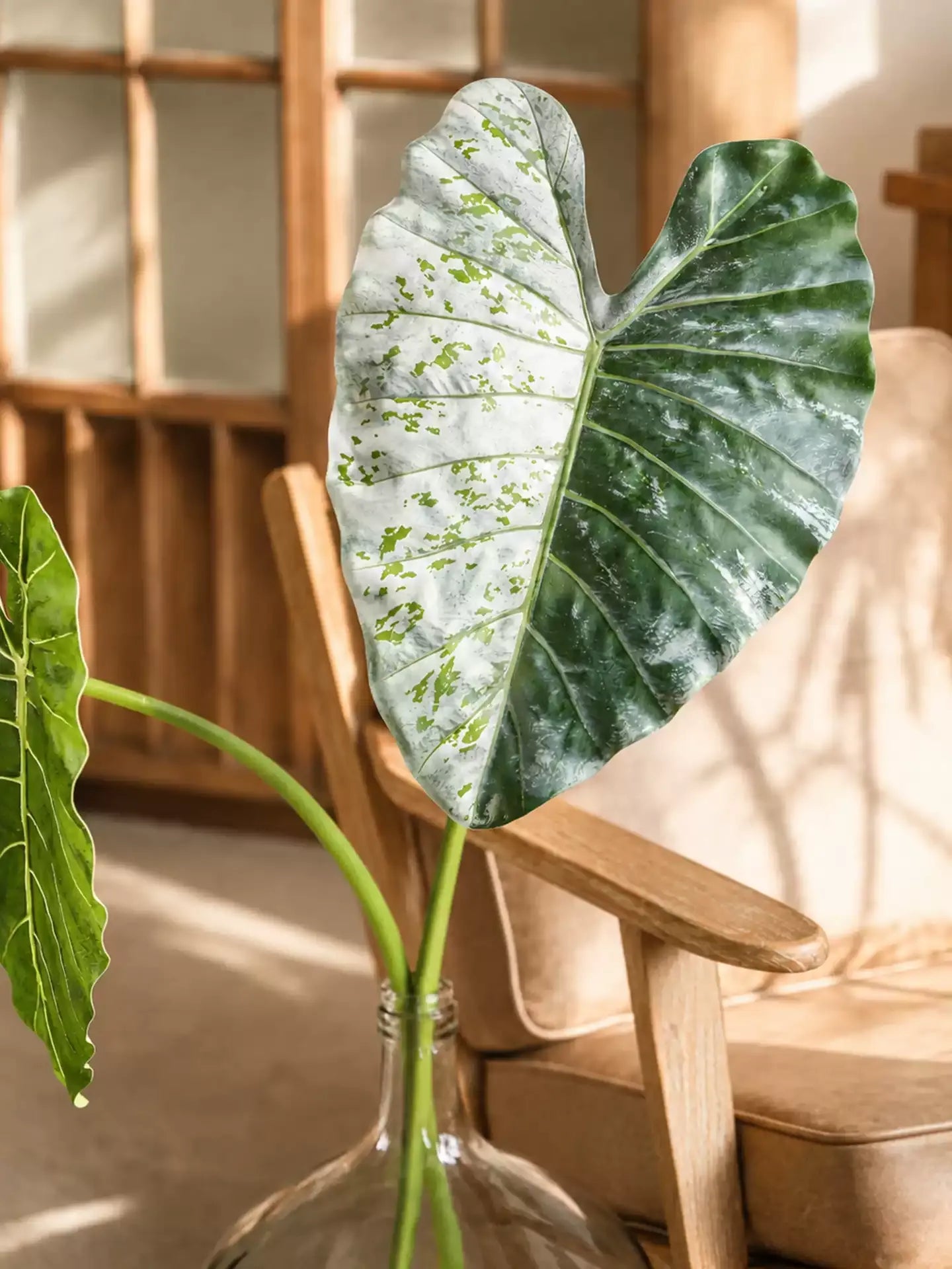 Statement Elephant Ear Leaf – 34.3"