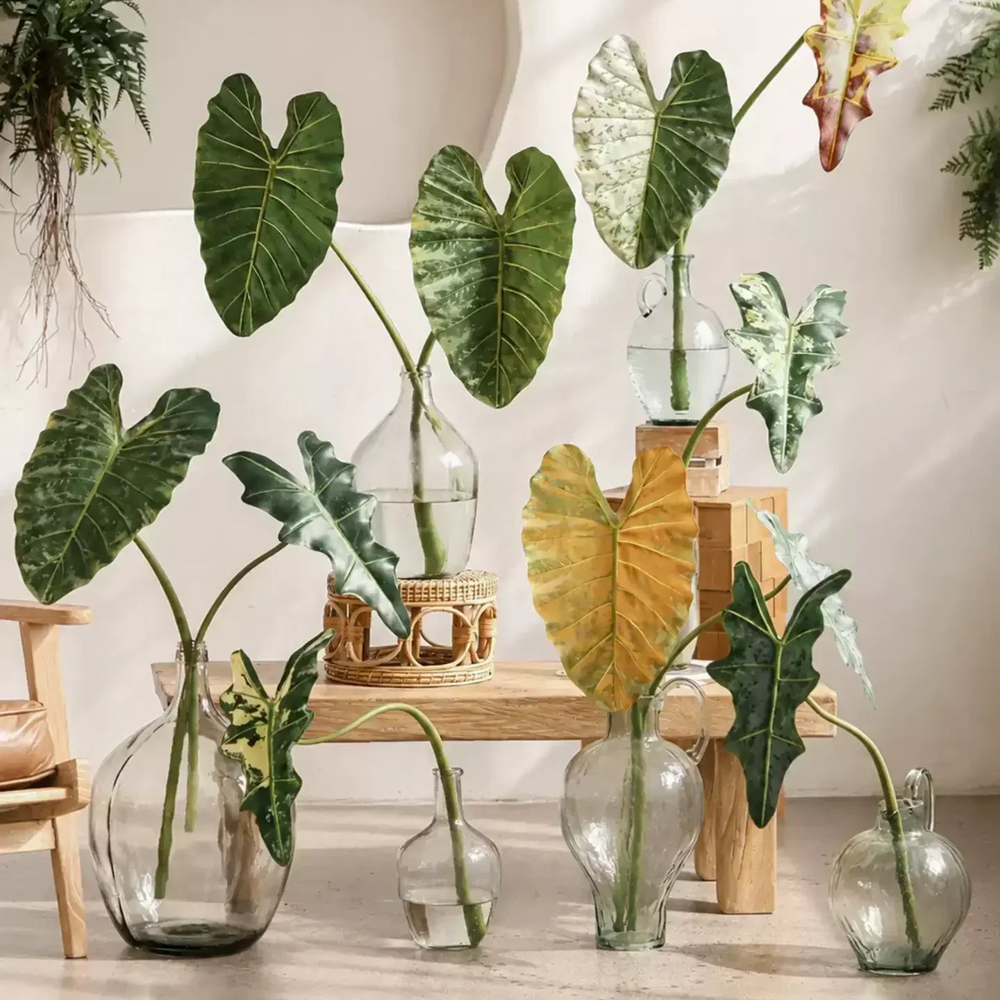 Statement Elephant Ear Leaf – 34.3"