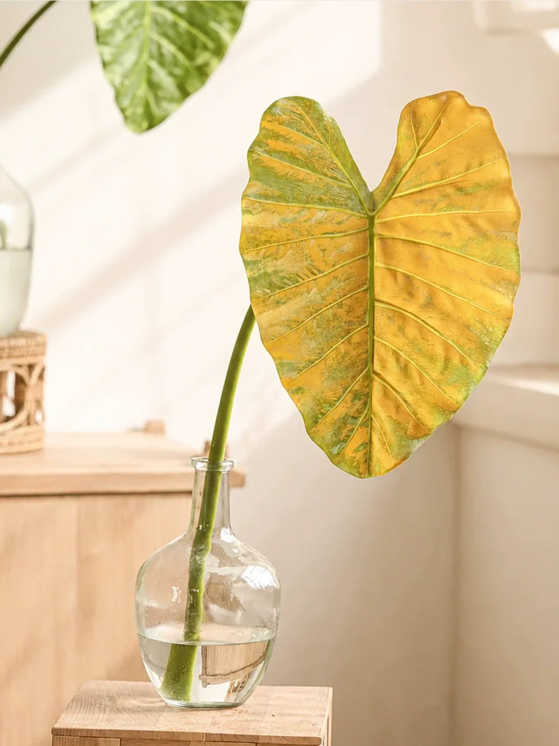 Statement Elephant Ear Leaf – 34.3"
