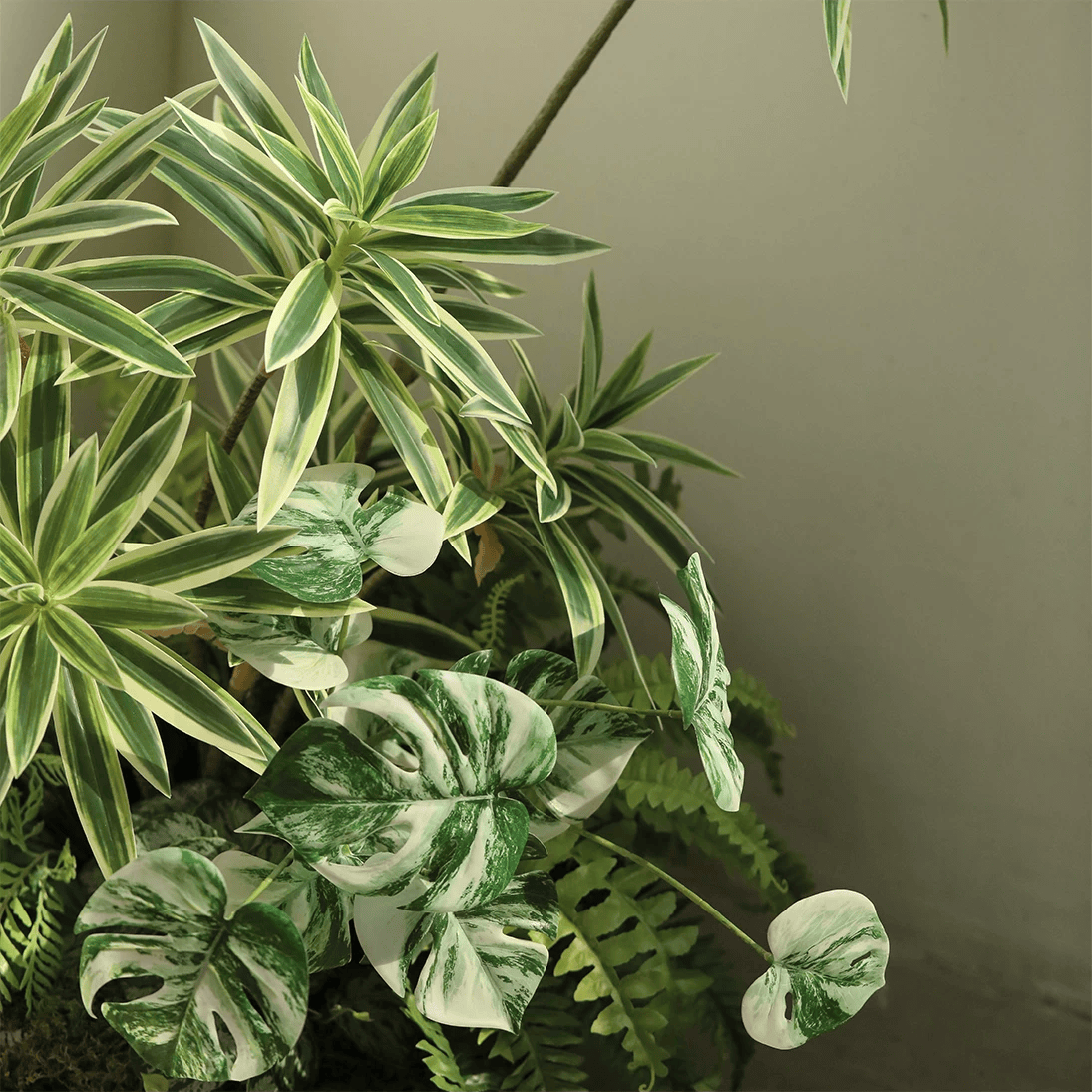 Variegated Monstera Root Pick – 17.3"
