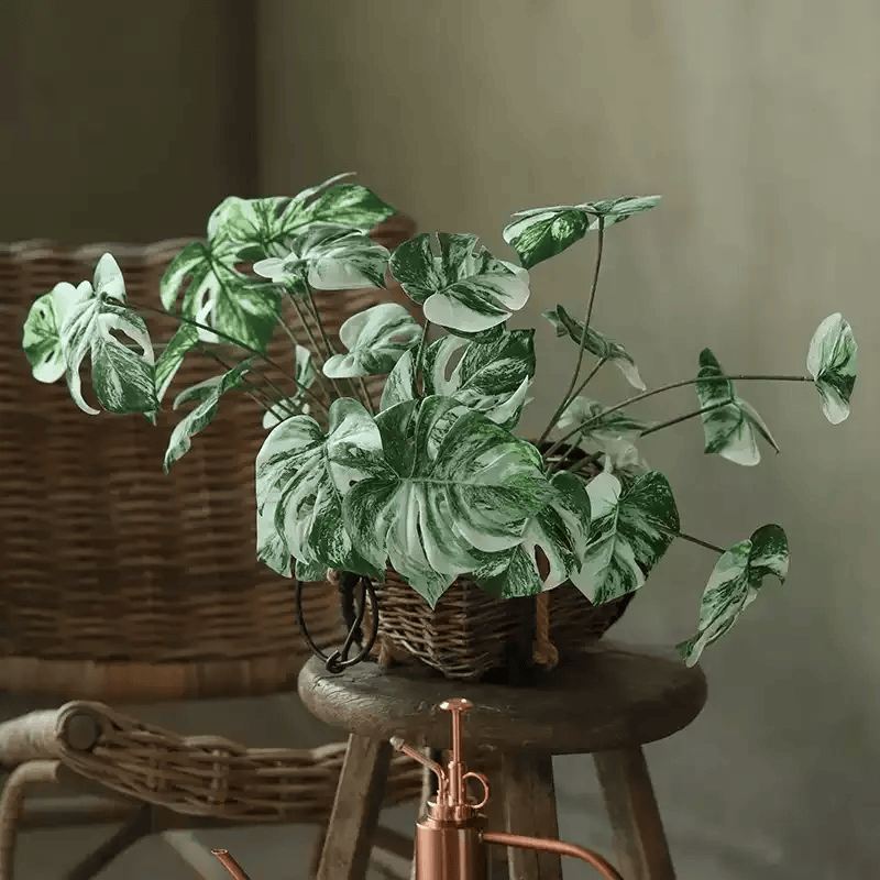 Variegated Monstera Root Pick – 17.3"
