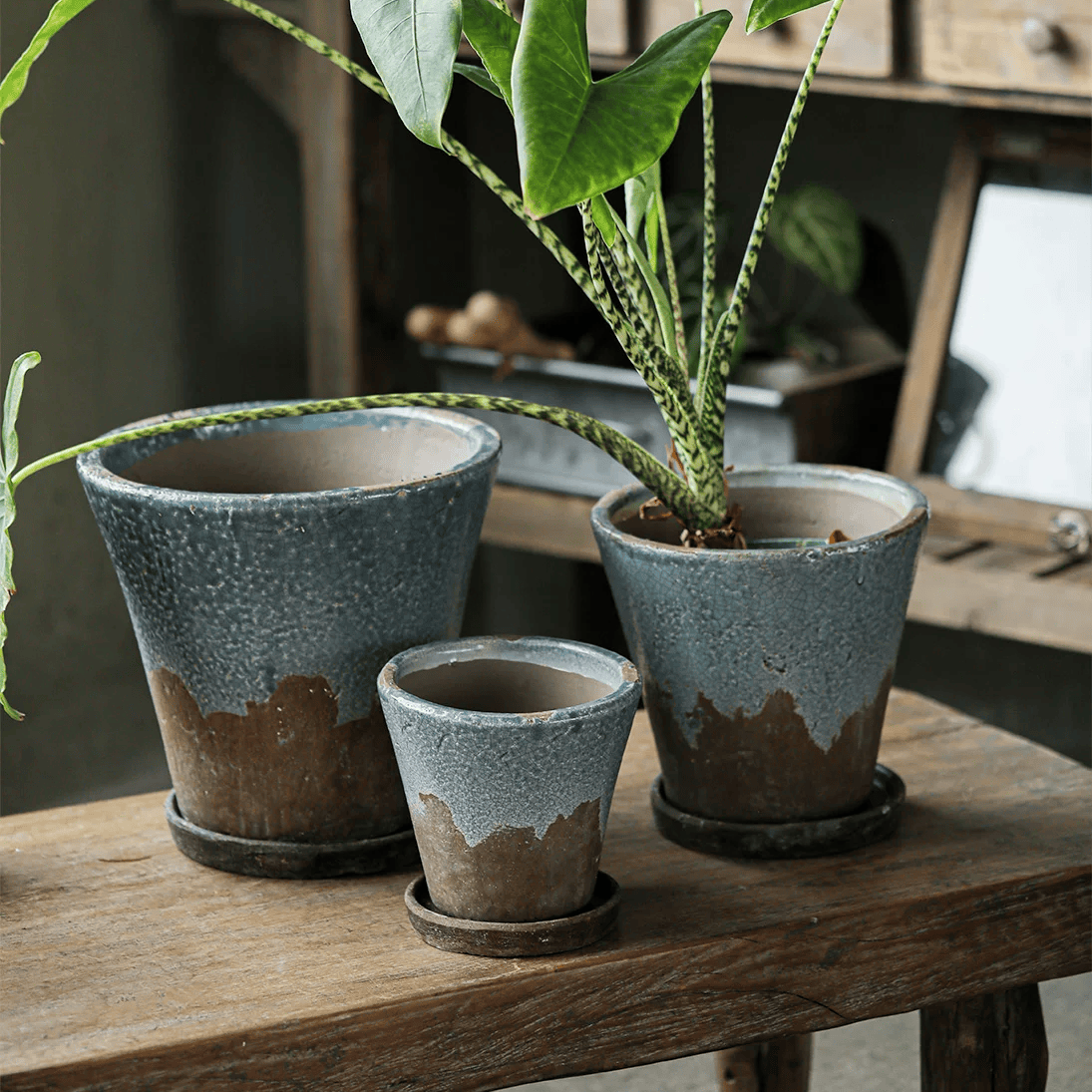 Weathered Heritage Flower Pot with Saucer
