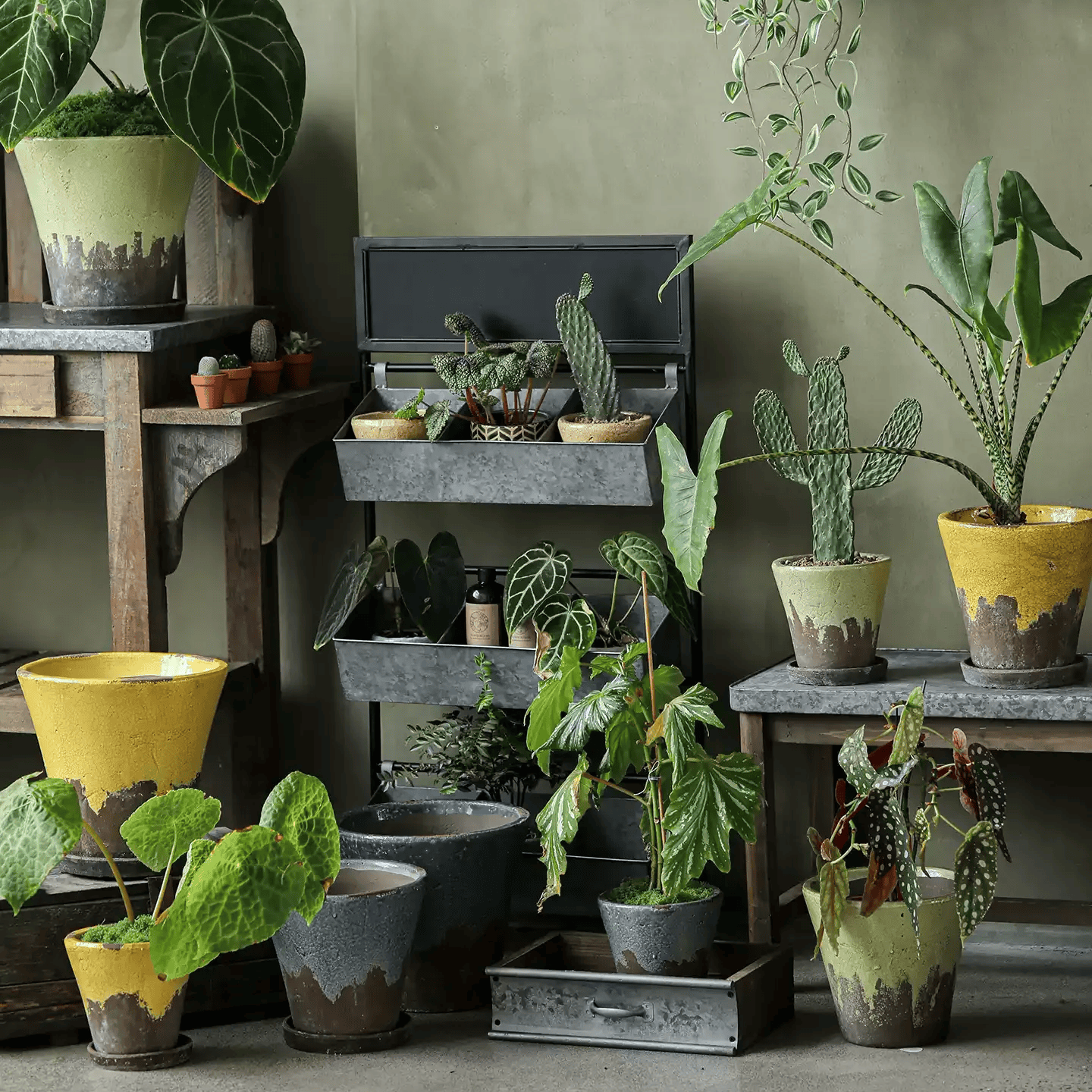 Weathered Heritage Flower Pot with Saucer