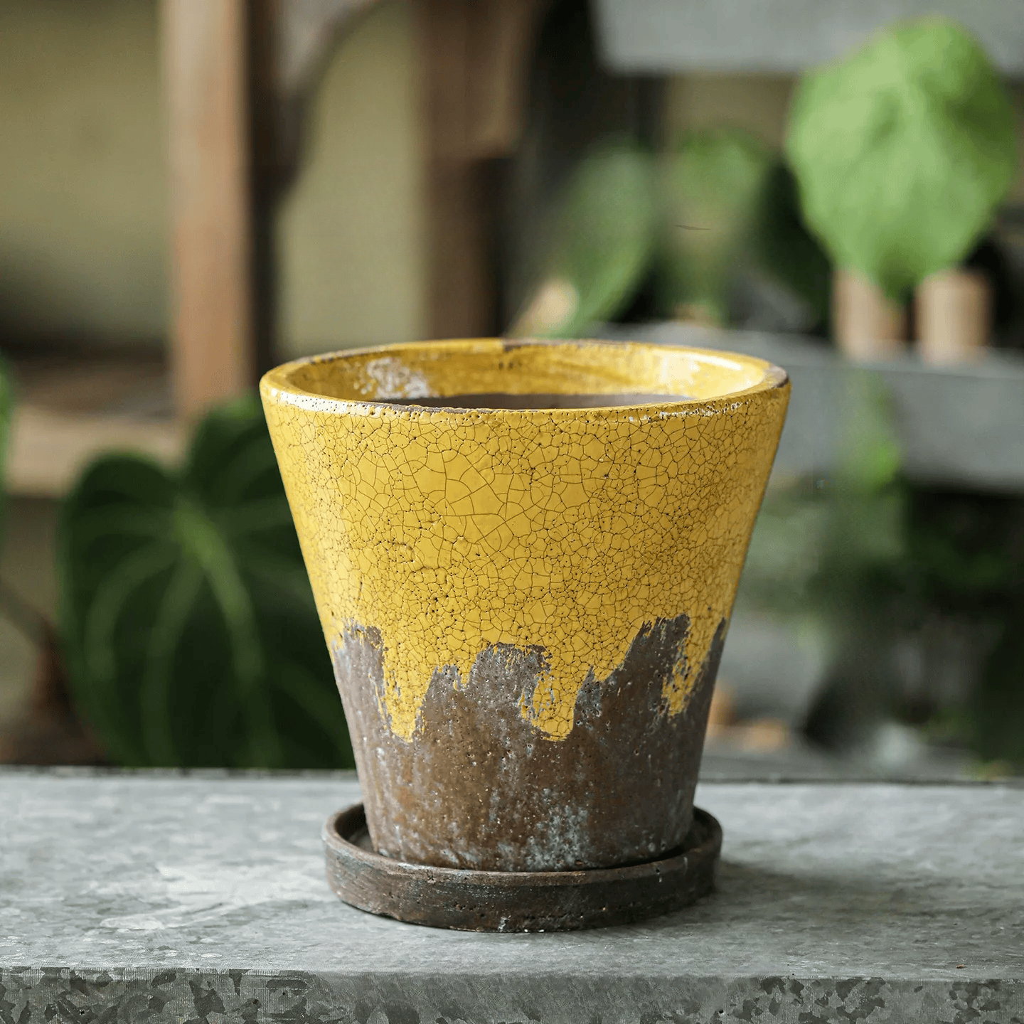 Weathered Heritage Flower Pot with Saucer