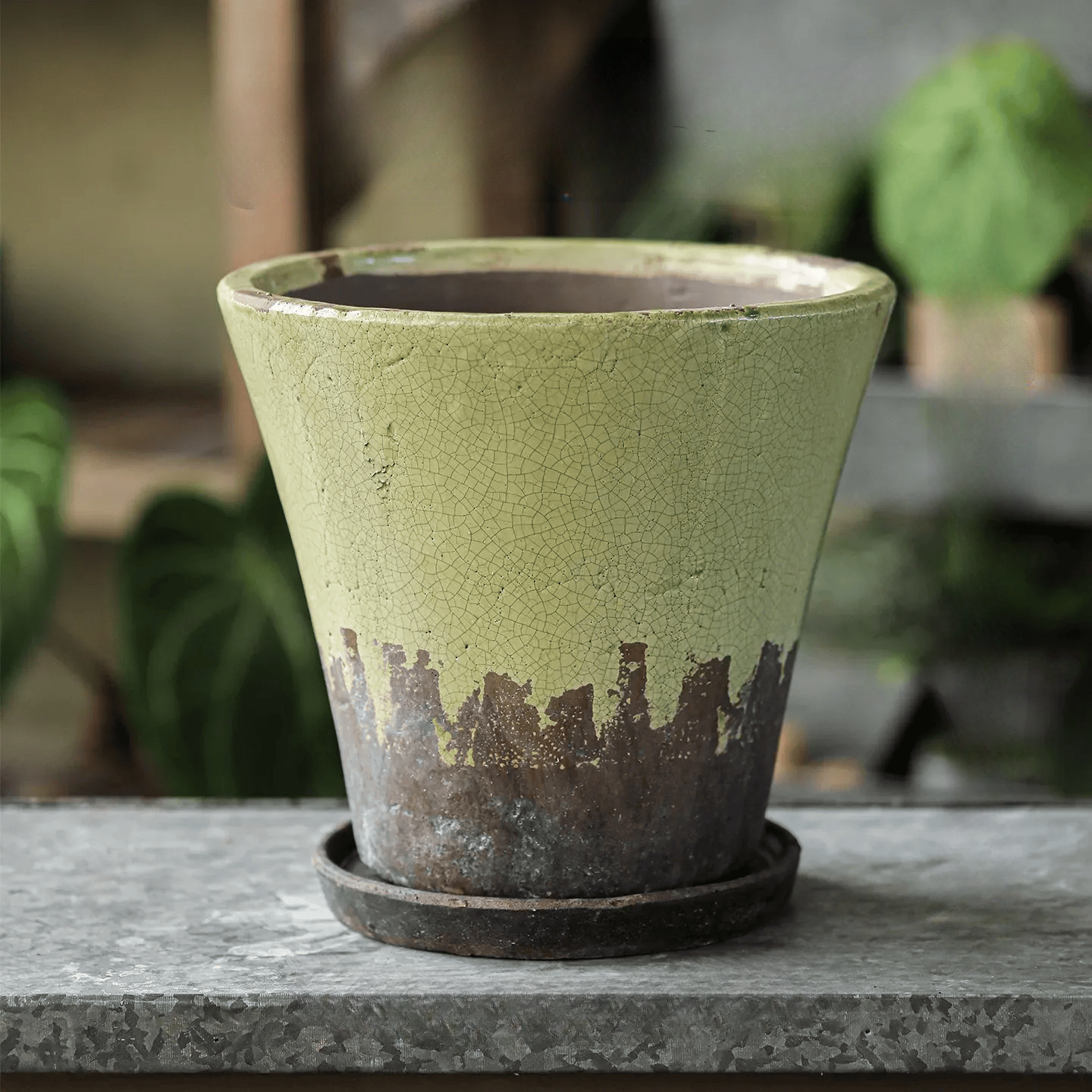 Weathered Heritage Flower Pot with Saucer