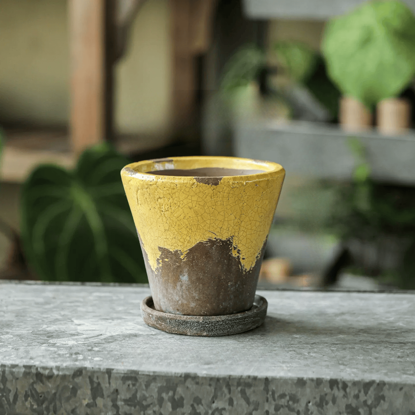 Weathered Heritage Flower Pot with Saucer