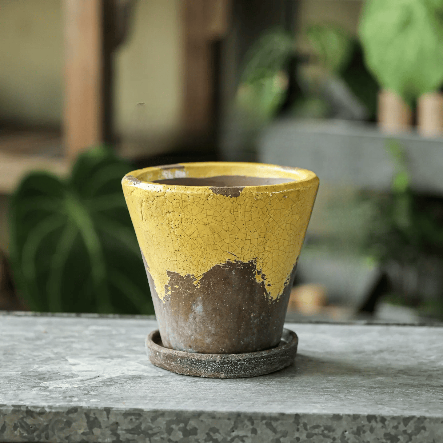 Weathered Heritage Flower Pot with Saucer