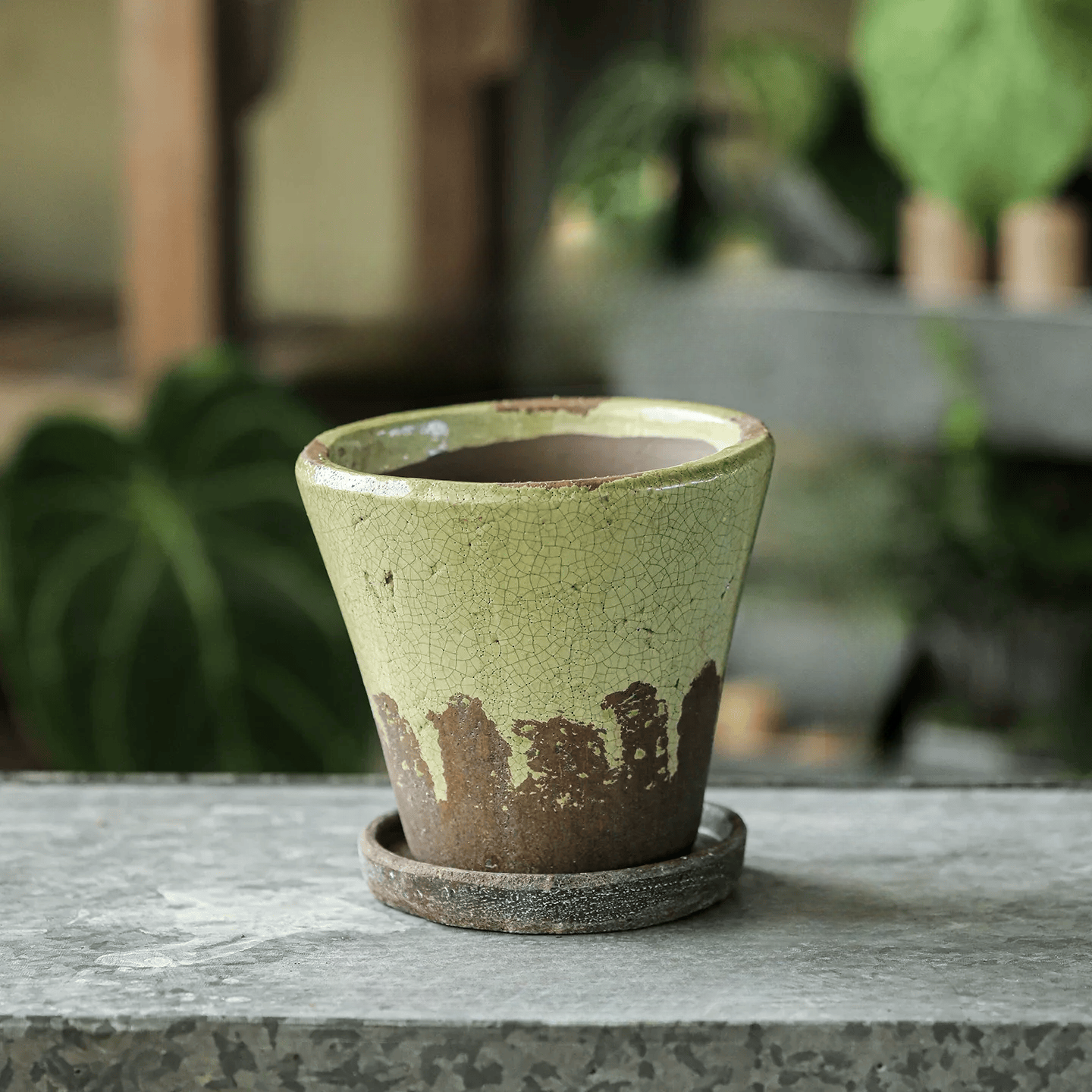 Weathered Heritage Flower Pot with Saucer