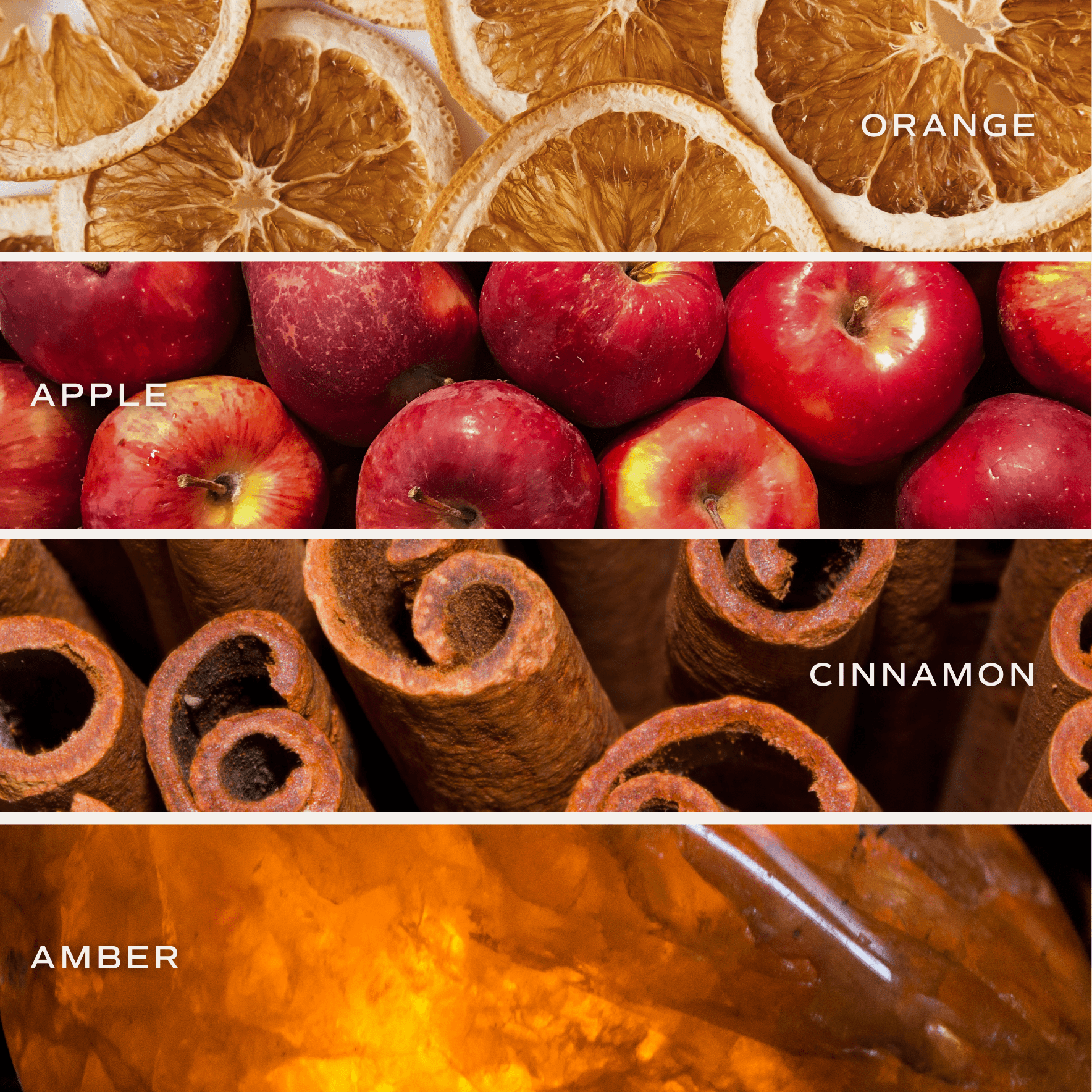 Spiced Apple Cider Soy Candle - Orange Matte Jar - 15 oz