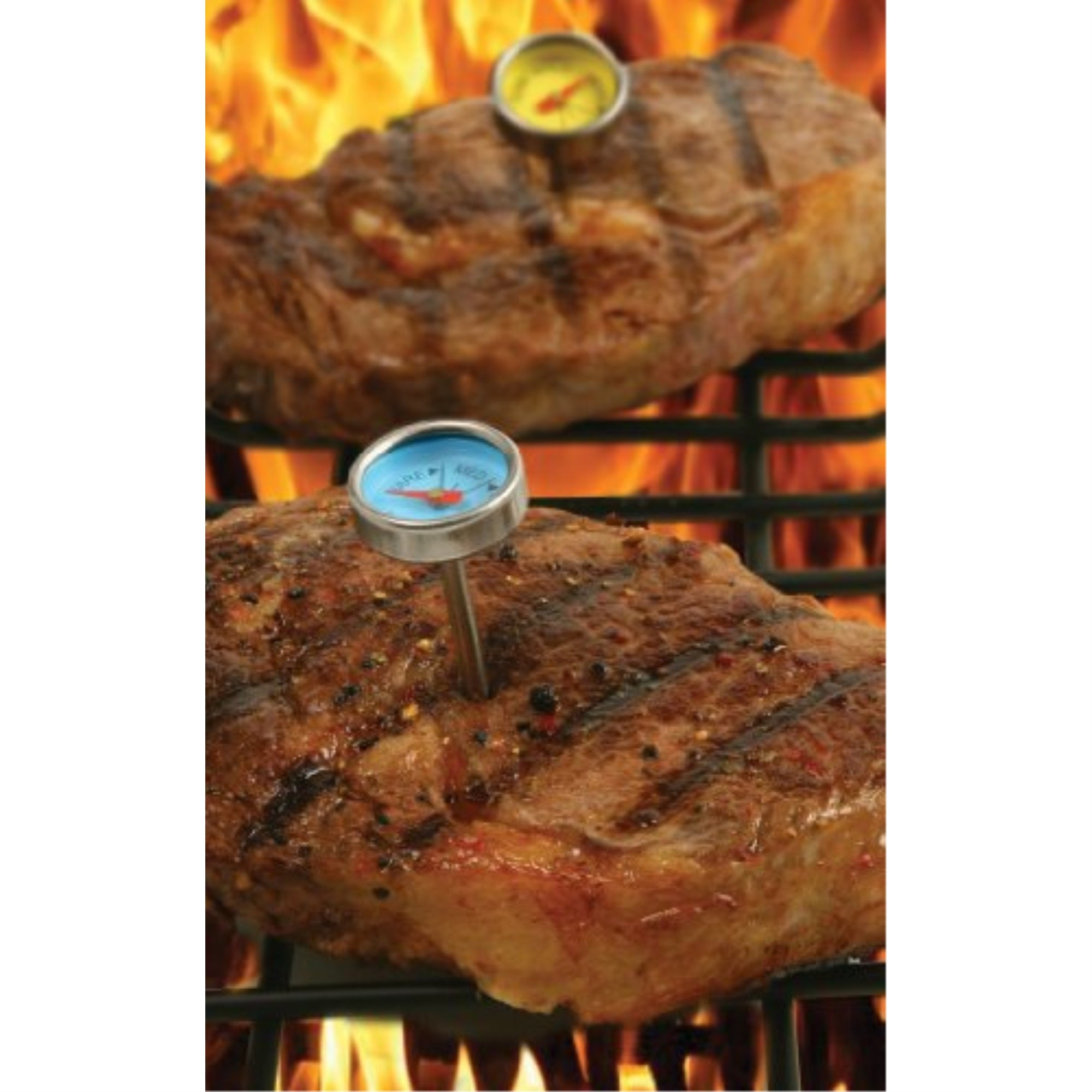 MINI STEAK THERMOMETERS  S/4