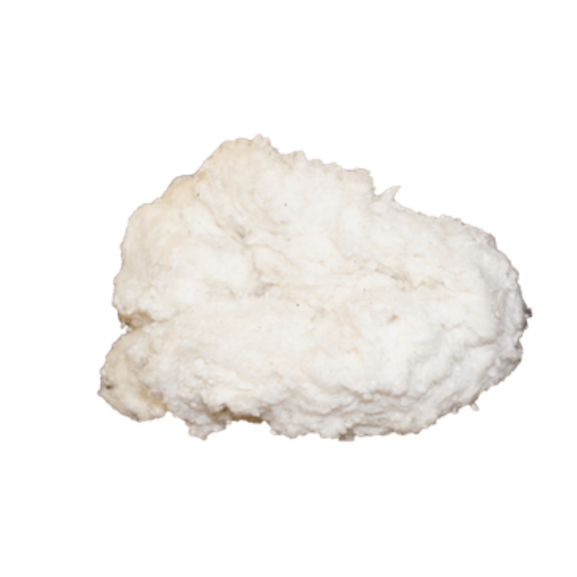 Organic Cotton Toddler Topper Extra  in 100% Organic Twill Fabric Case