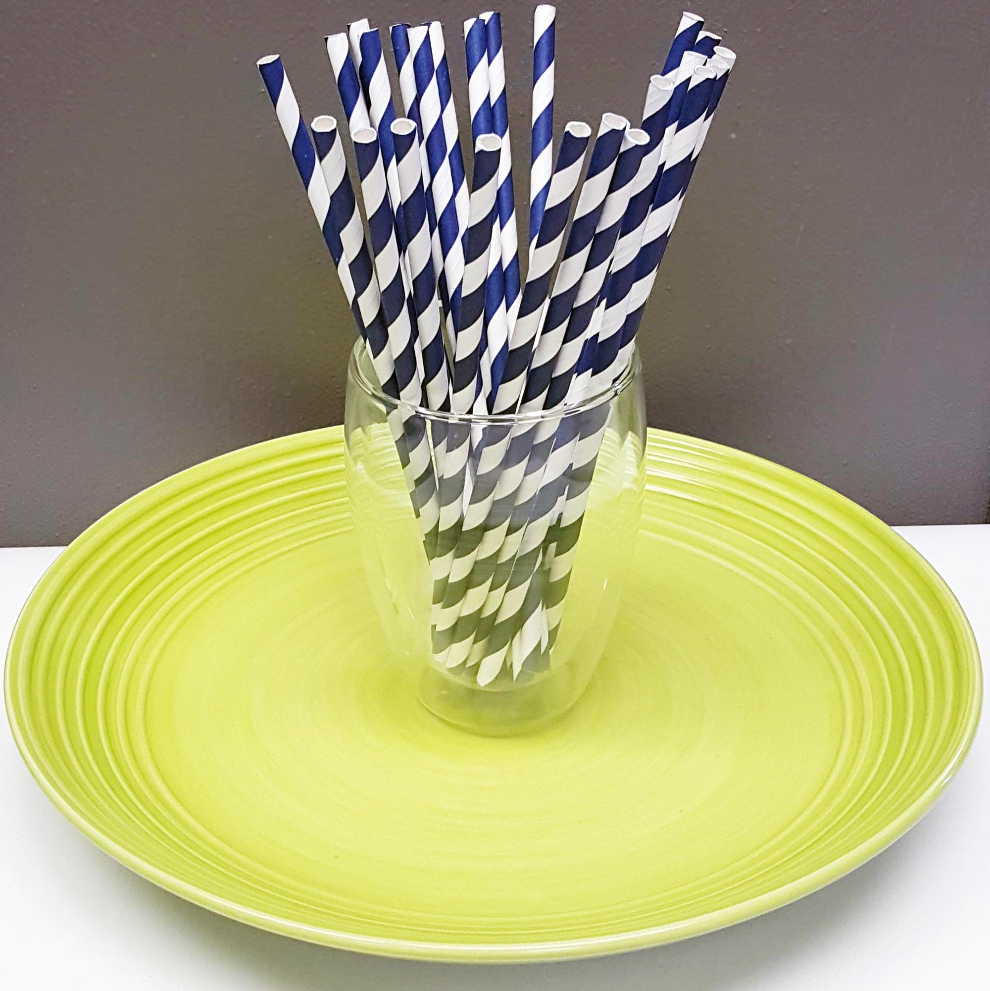 [PS1X100] paper straws