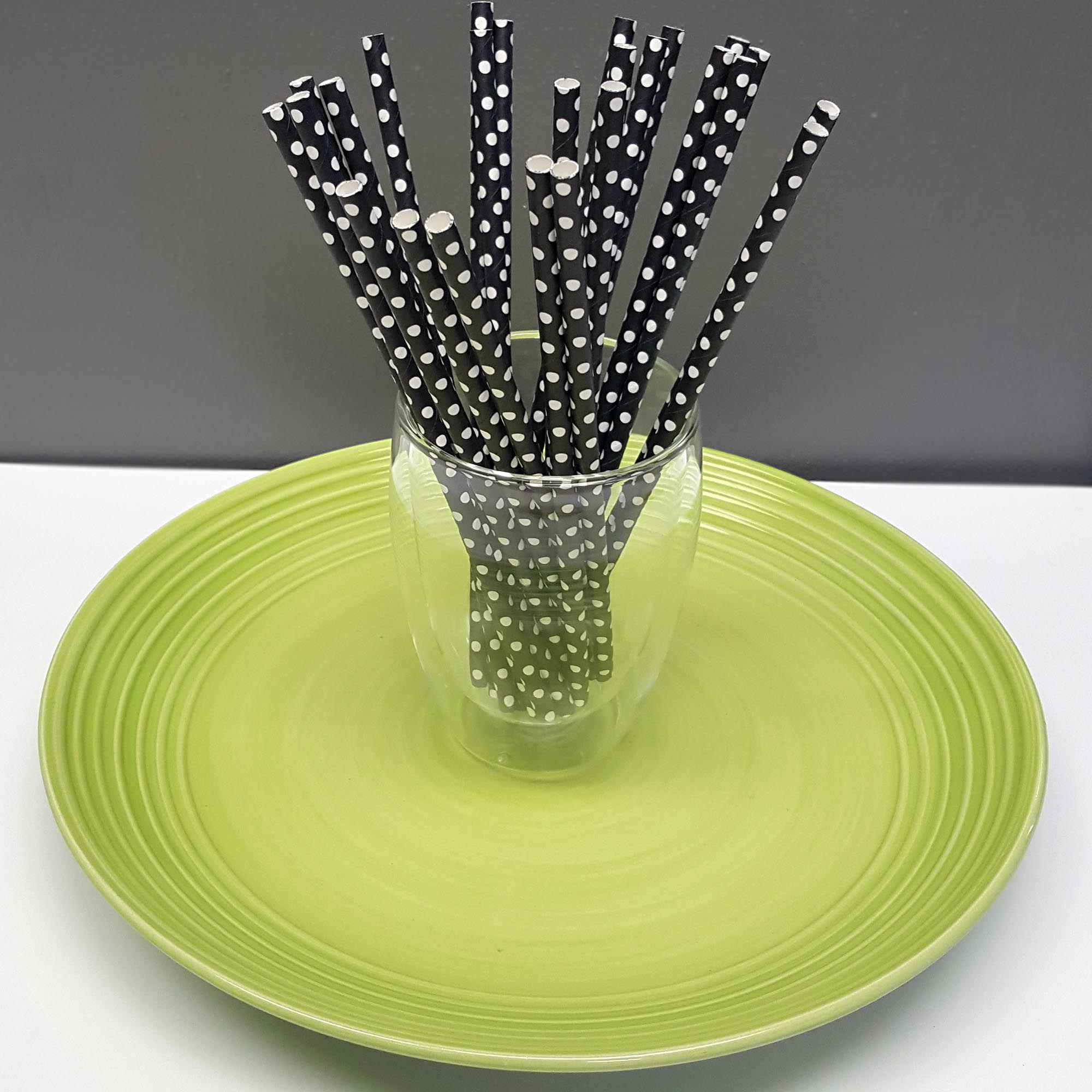 [PS21X100] paper straws ii