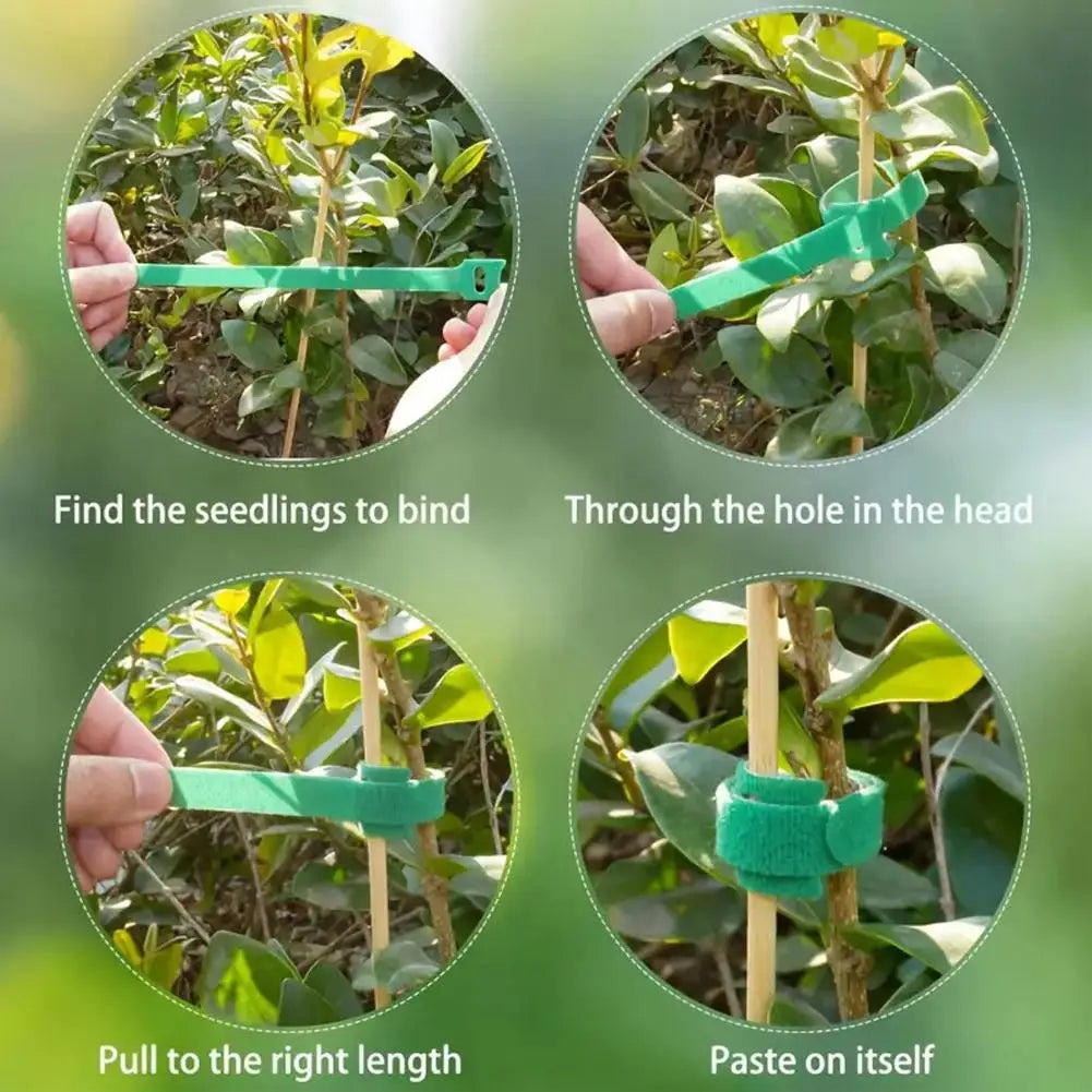 100pcs Reusable Nylon Plant Ties Adjustable Non-Slip Hook & Loop Fasteners For Climbing Plants Garden Support ﻿