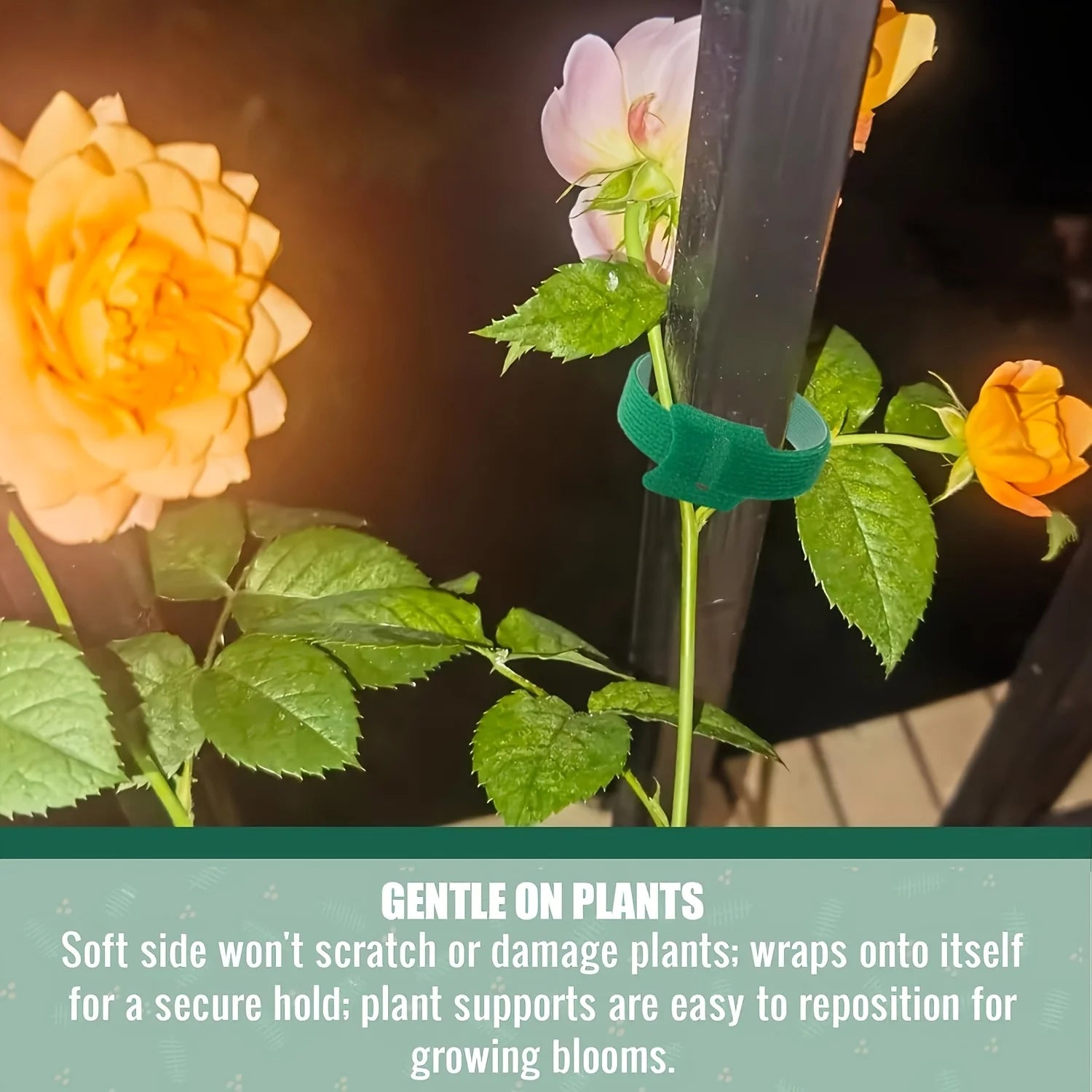 100pcs Reusable 6-Inch Adjustable Non-Slip Nylon Plant Ties with Hook and Loop Fasteners, for Climbing Plants, Support
