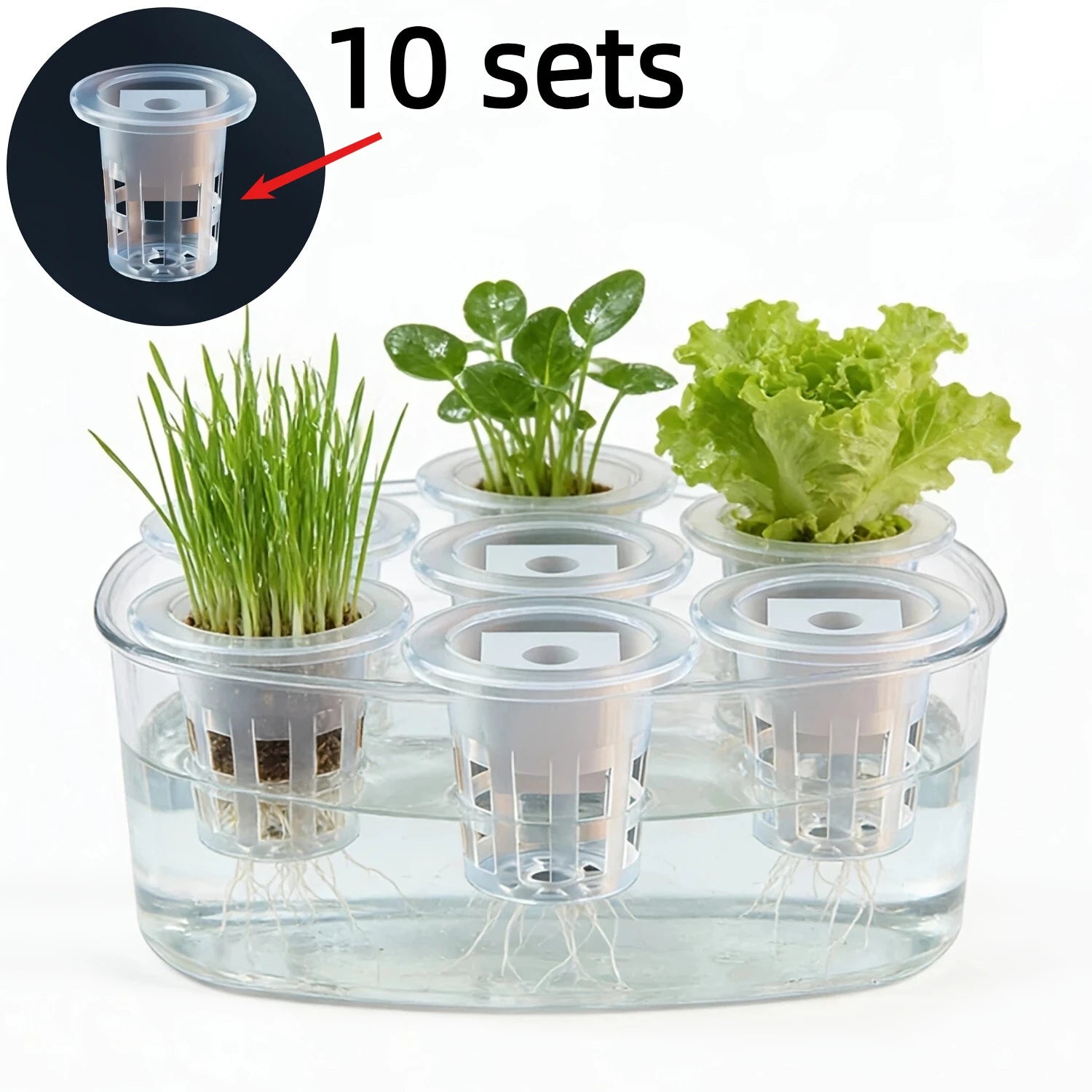10pcs Hydroponic Seedling Basket Set (Includes 10 Planting Baskets + 10 Seedling Sponges)|Seed Stabilization to Prevent Drifting