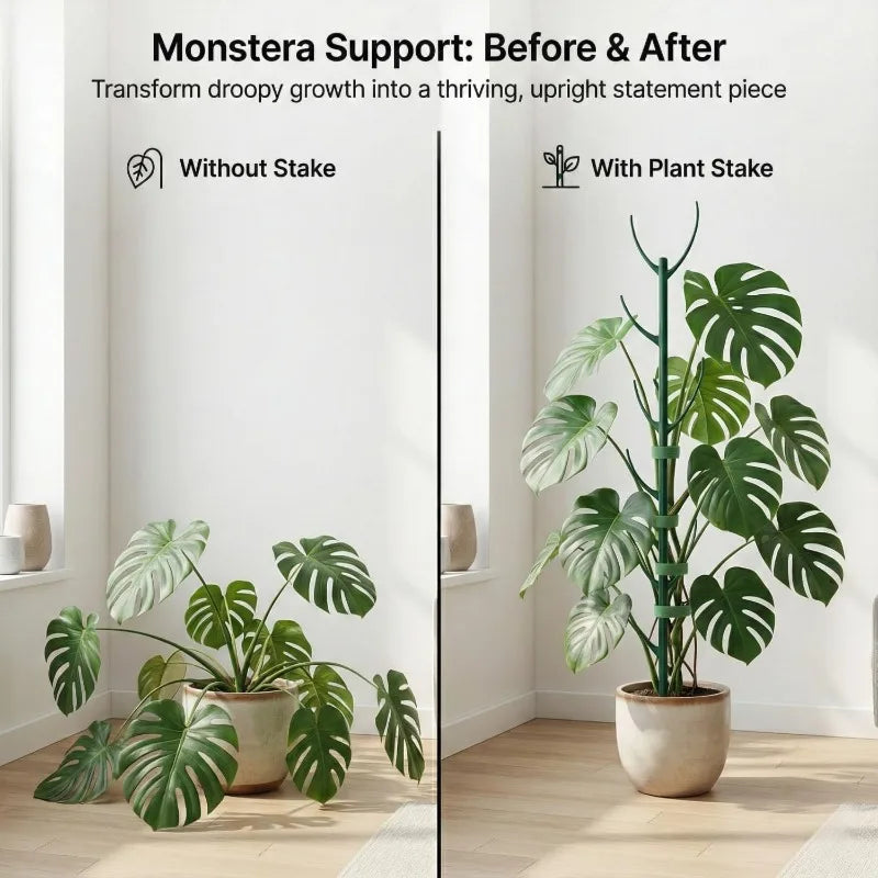 Monstera Plant Support Stakes 5 Support Frames and 1 Roll Velcro, Garden Stakes Designed Specifically Climbing Plant Stems