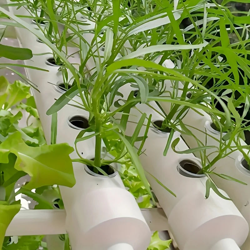 10pcs Hydroponic Seedling Basket Set (Includes 10 Planting Baskets + 10 Seedling Sponges)|Seed Stabilization to Prevent Drifting