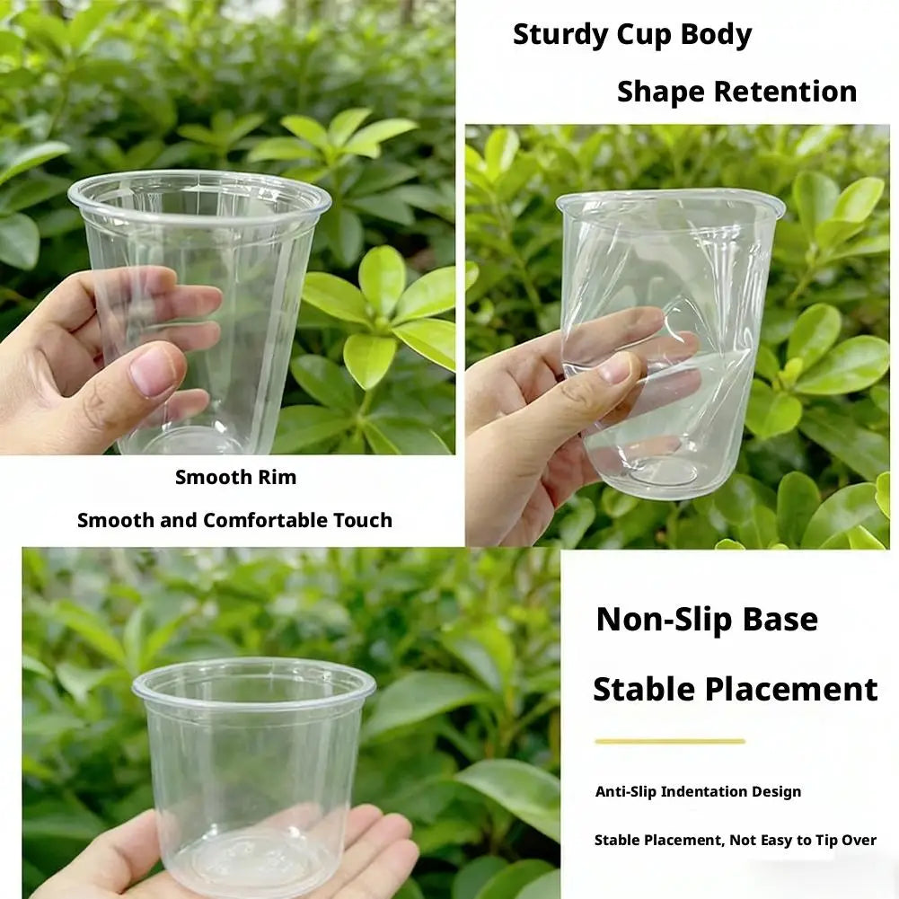 Plant Vegetable Seedling Hydroponic Planting Cup Transparent Plastic Flowerpot Visible Root System For Greenhouse Germination