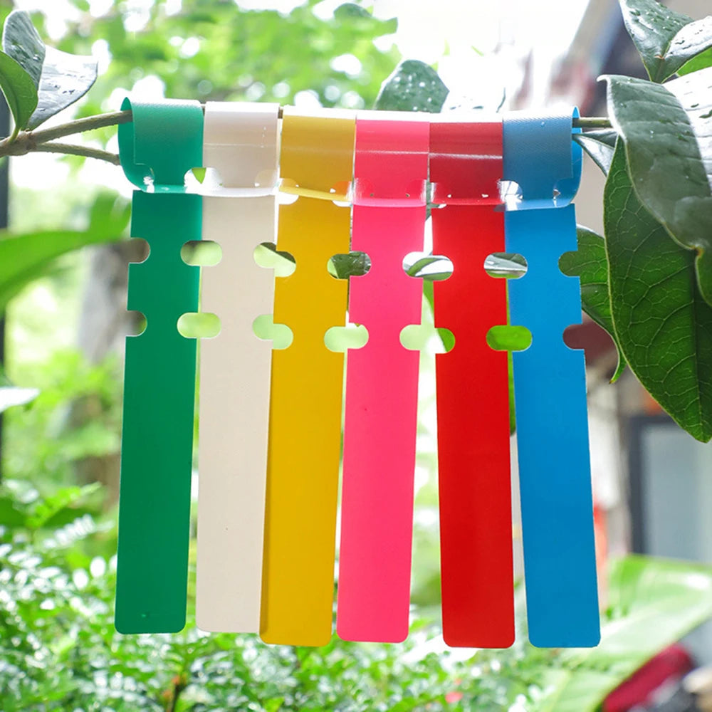 Garden100PCS Pvc Waterproof Ring For Flower Plant Labels, Seedlings, Orchids, Garden Floral Markers, Plastic Signboards