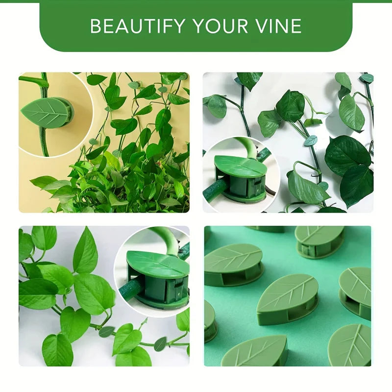 10pcs, Plant Climbing Wall Fixture Clips, Self-adhesive Plant Fixing Hook, Sticky Plant Fixing Clip For Plant Garden Pothos Vine