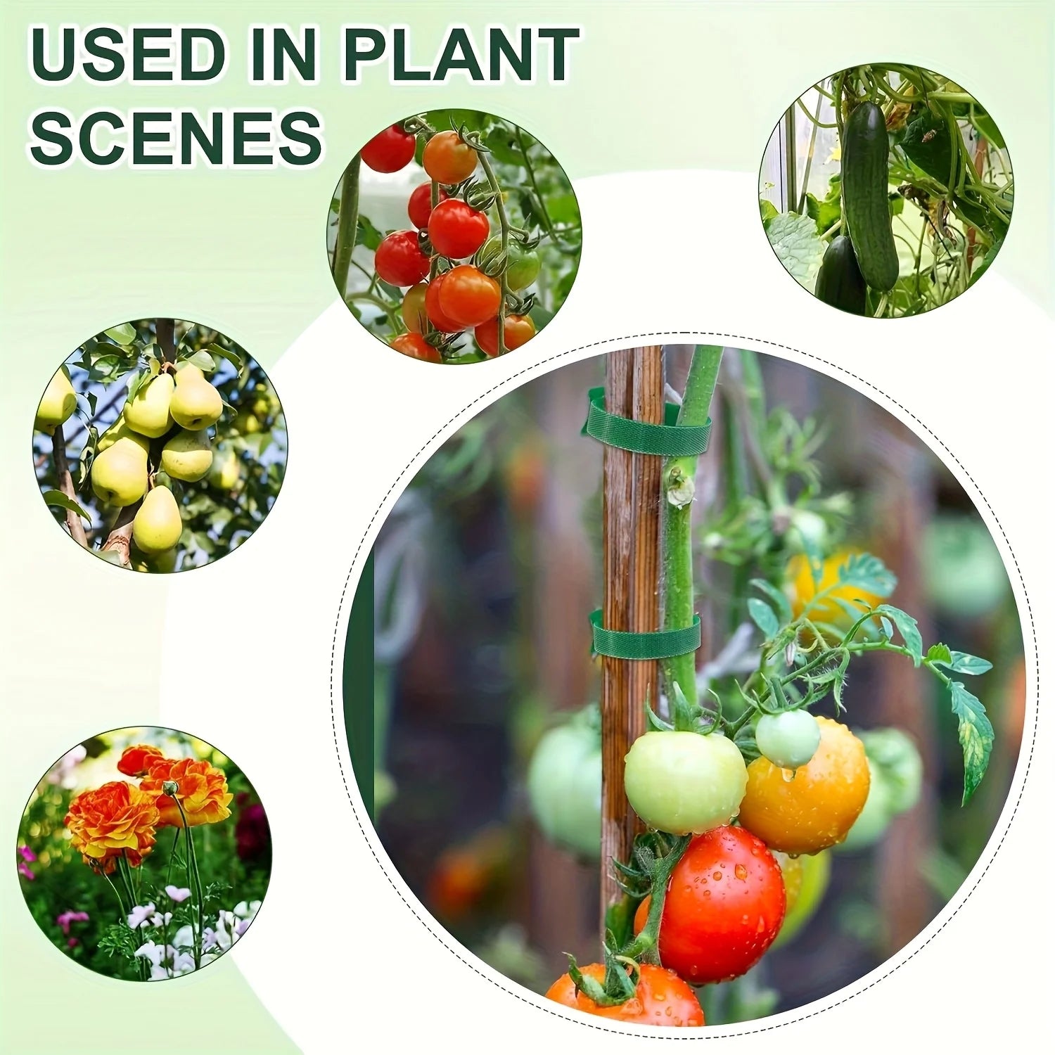 100pcs Reusable 6-Inch Adjustable Non-Slip Nylon Plant Ties with Hook and Loop Fasteners, for Climbing Plants, Support