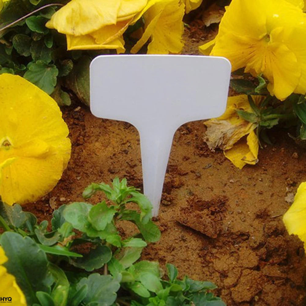 Étiquettes de jardin blanches 100 pièces, en plastique étanche, enfichable pour classification plantes