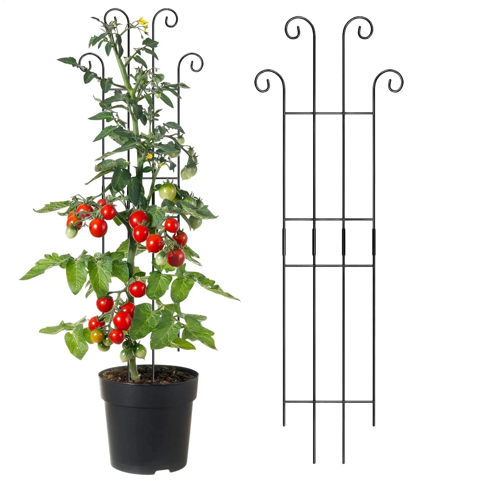 Metal Plant Trellis Indoor Outdoor Vertical Garden Support for Monstera Tomato Vine Ivy Plant Pot Climbing Growth Stake