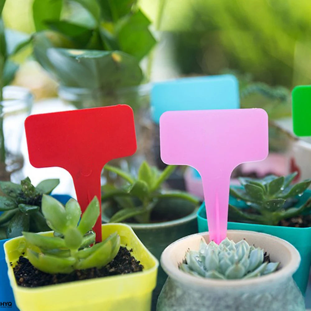 Étiquettes de jardin blanches 100 pièces, en plastique étanche, enfichable pour classification plantes
