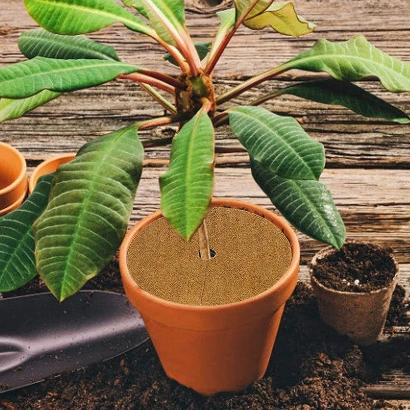 Coconut Liner Sheet Coco Plant Fiber Roll Natural Carpet Mat Reptile Bedding Supplies Winter Insulation Flowerpot Basket Supply