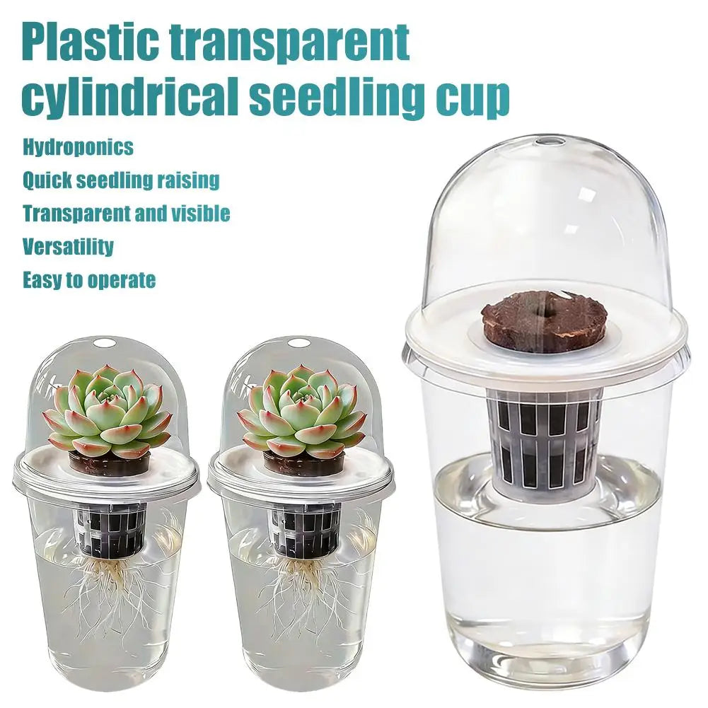 Plant Vegetable Seedling Hydroponic Planting Cup Transparent Plastic Flowerpot Visible Root System For Greenhouse Germination