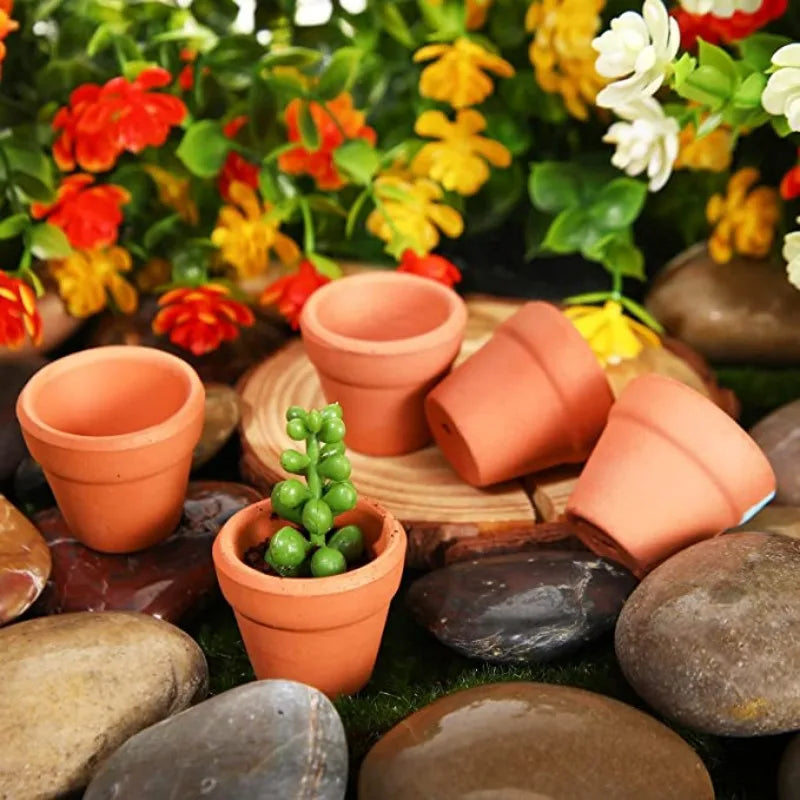 50 Pcs Tiny Terracotta Pots - 1.3 inch Small Mini Clay Pots with Drainage Holes Flower Nursery Terra Cotta Pots for in/outdoor