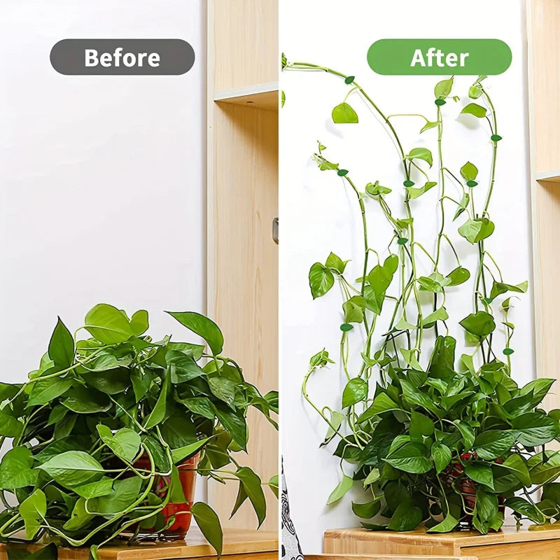 10pcs, Plant Climbing Wall Fixture Clips, Self-adhesive Plant Fixing Hook, Sticky Plant Fixing Clip For Plant Garden Pothos Vine