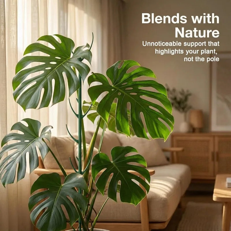 Monstera Plant Support Stakes 5 Support Frames and 1 Roll Velcro, Garden Stakes Designed Specifically Climbing Plant Stems