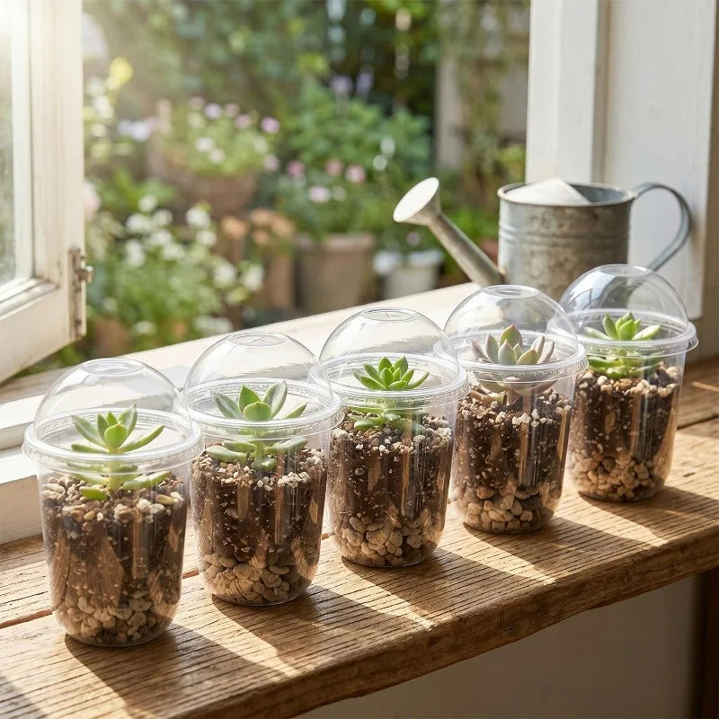Reusable Seed Germination Cups with Cover Clear Plastic Seedling Nursery Pots Moisture Retention Plant Starter Containers Garden
